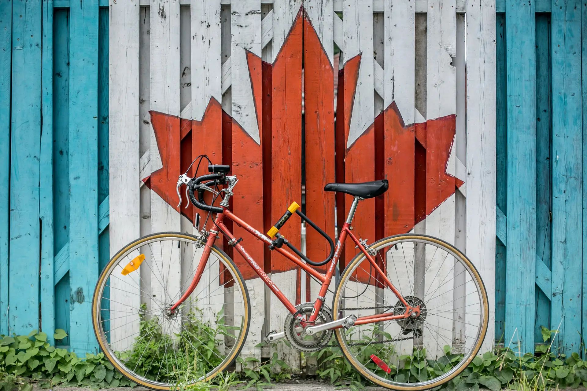 Cannabis Prohibition in Canada at Elephant Garden Co Weed Dispensary