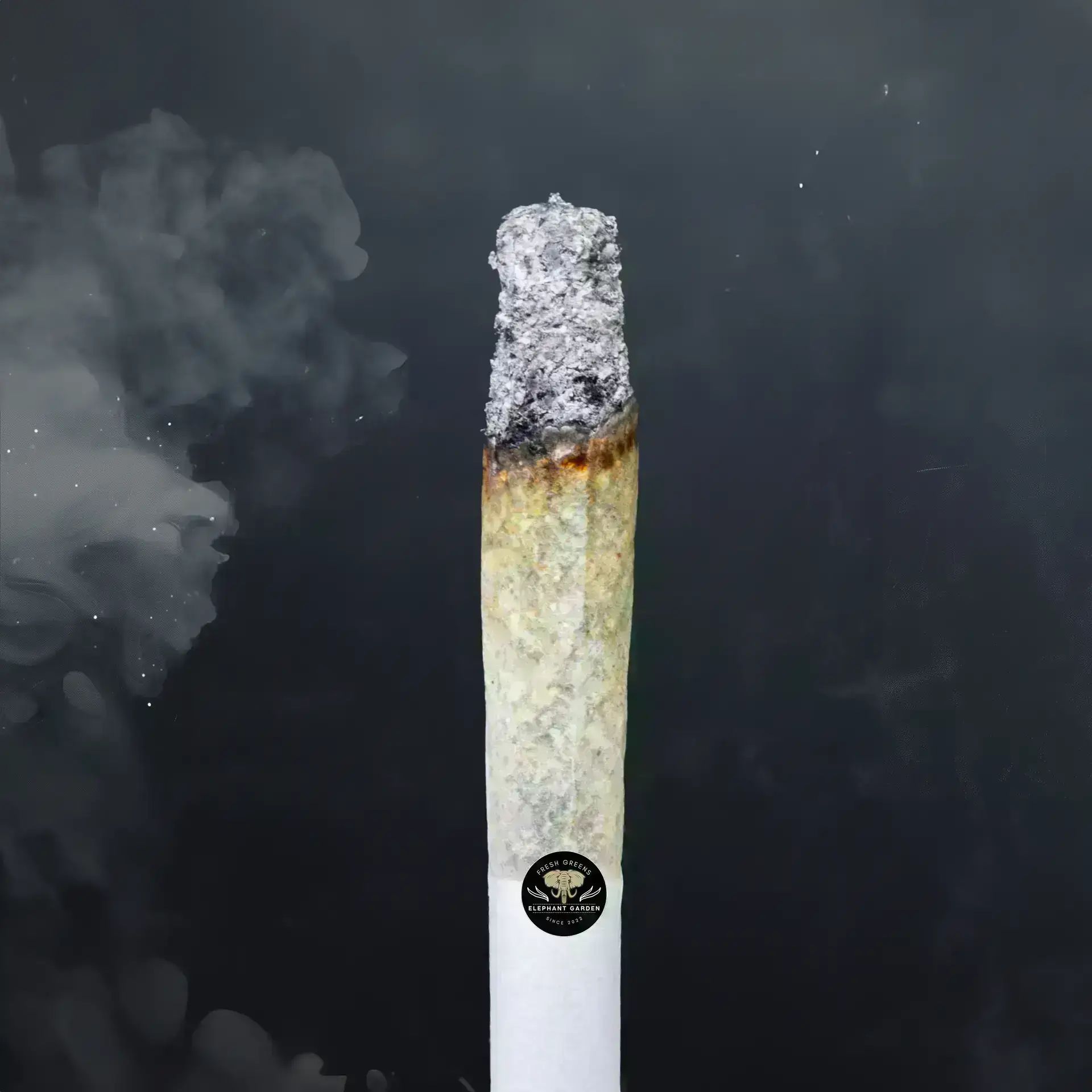 Buy Blueberry Mac at Elephant Garden Co Weed Dispensary Burn 11 13 24