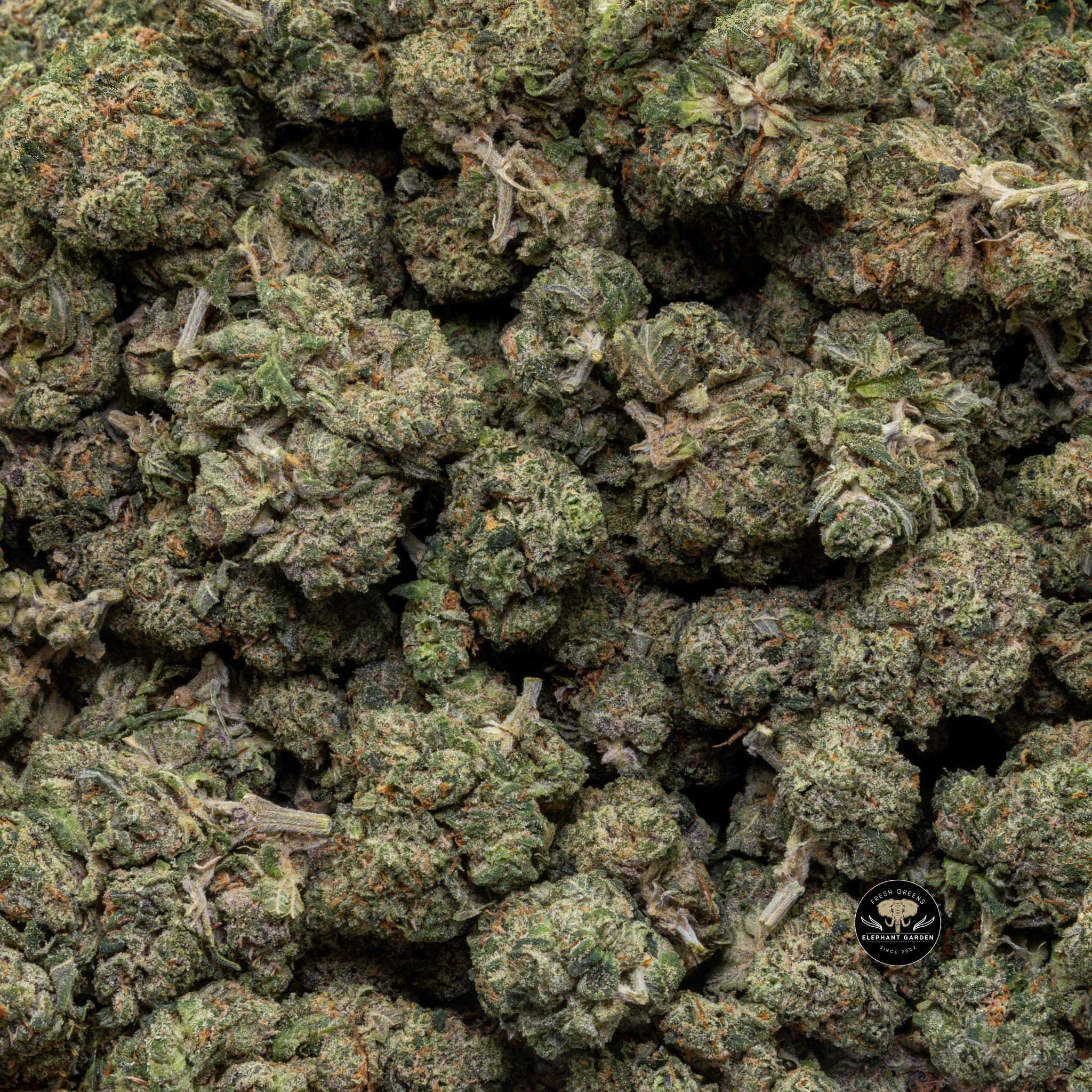 Buy Funky Charms (Bulk) at Elephant Garden Co Weed Dispensary Close 5 16 2024