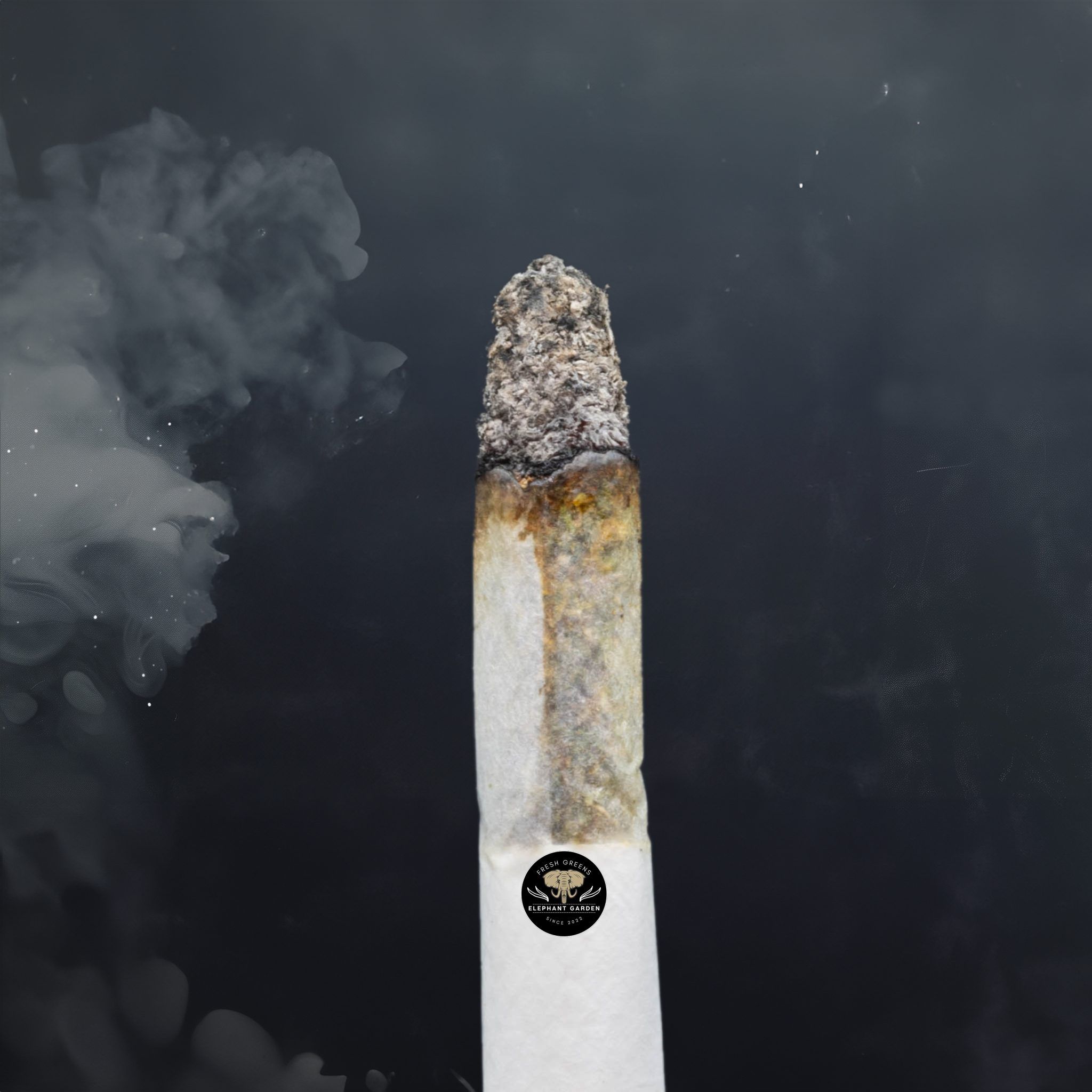 Buy Funky Charms at Elephant Garden Co Weed Dispensary Burn Test 5 21 2024 2