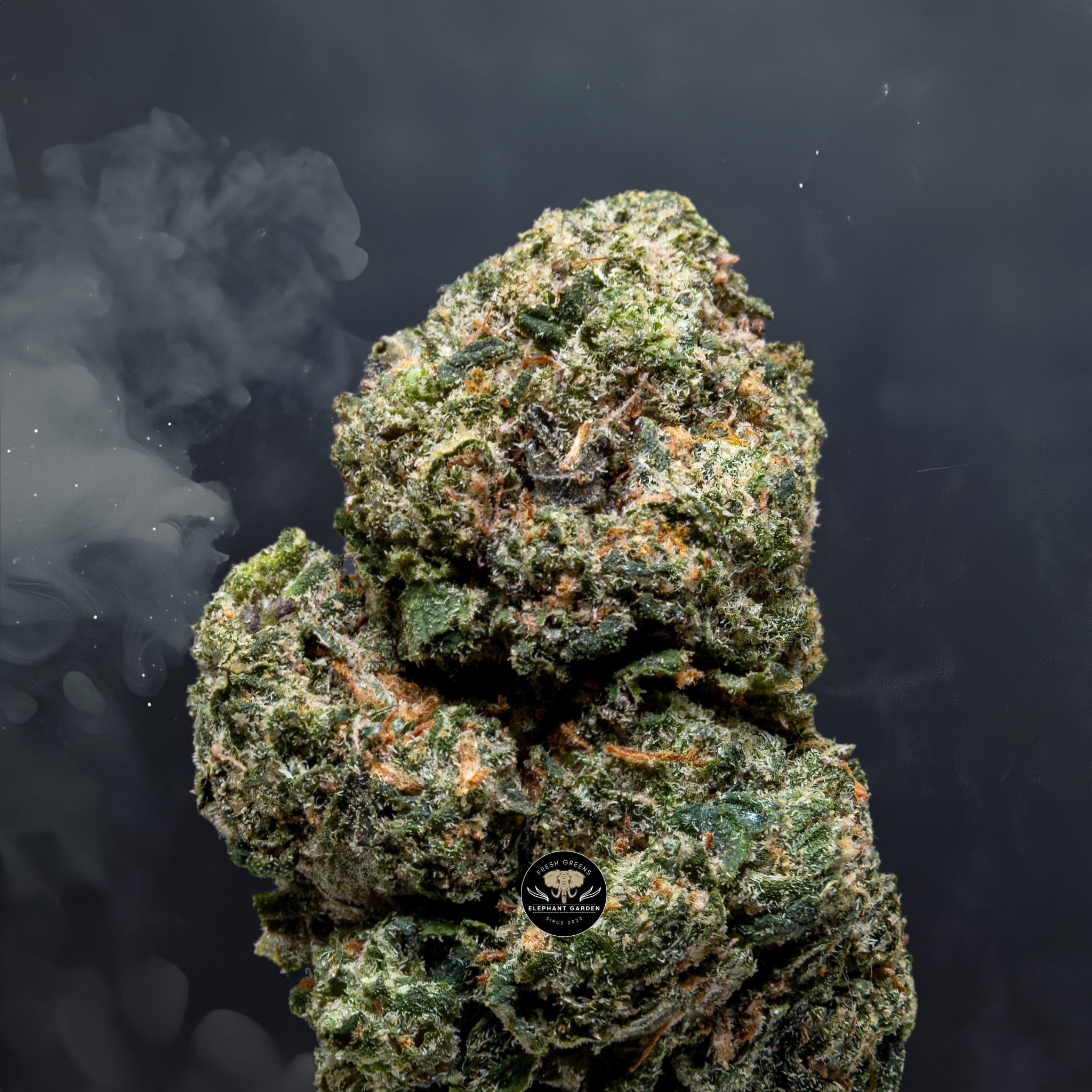 Buy Funky Charms at Elephant Garden Co Weed Dispensary Close 5 21 24