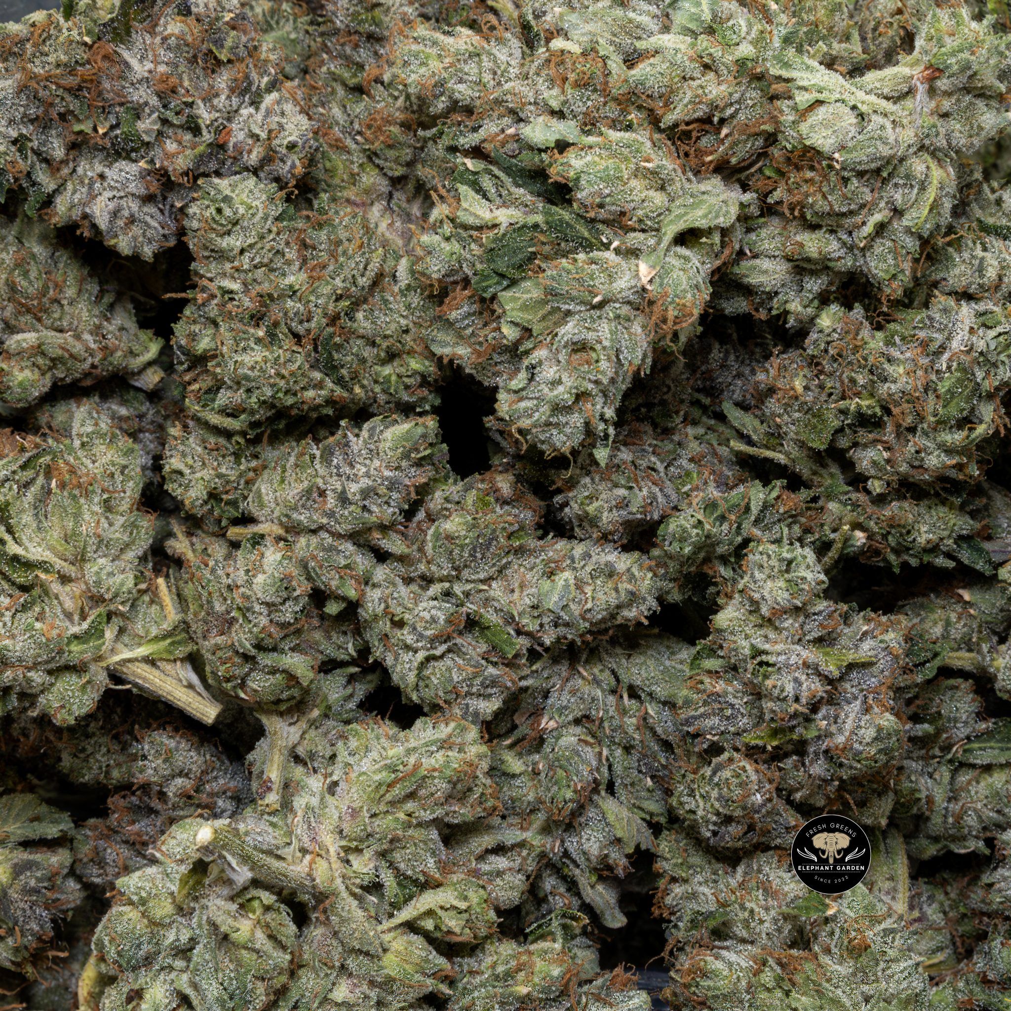 Buy Pink Death Star at Elephant Garden Co Weed Dispensary Close 8 19 24 2