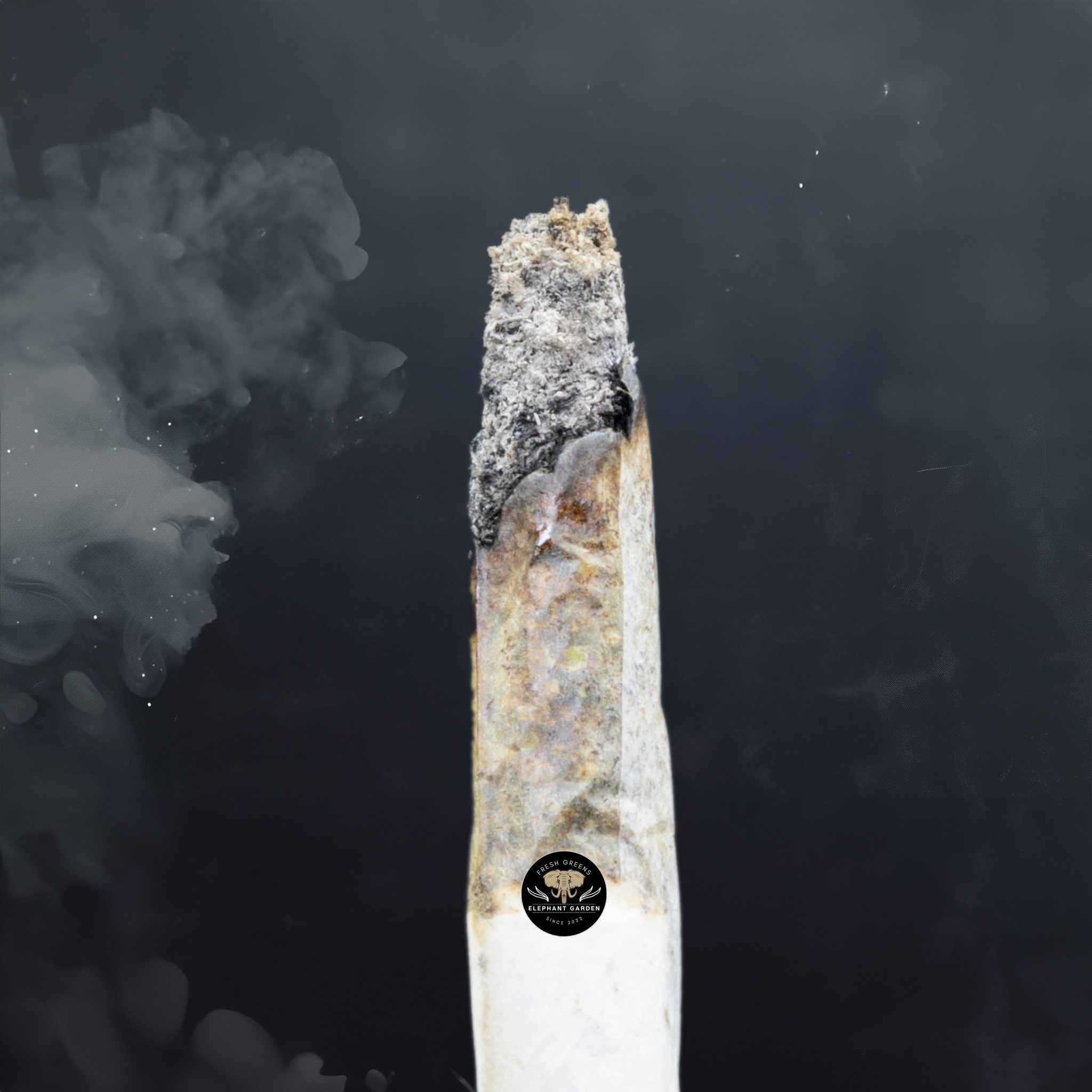 Buy Black Cherry OG at Elephant Garden Co Weed Dispensary Burn Test 5 21 2024 2