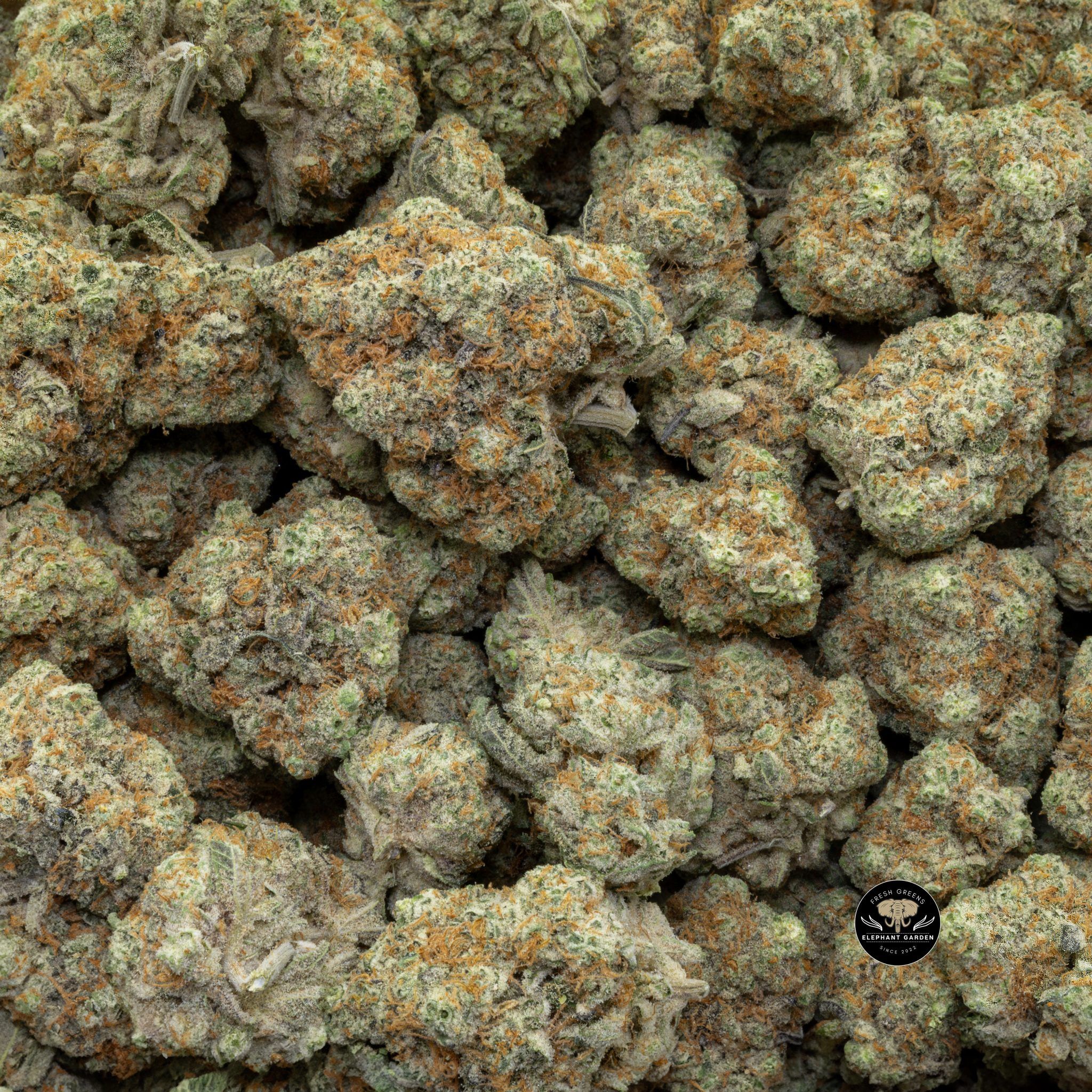 Buy Blueberry Space Cake (Bulk) at Elephant Garden Co Weed Dispensary Close 5 28 2024