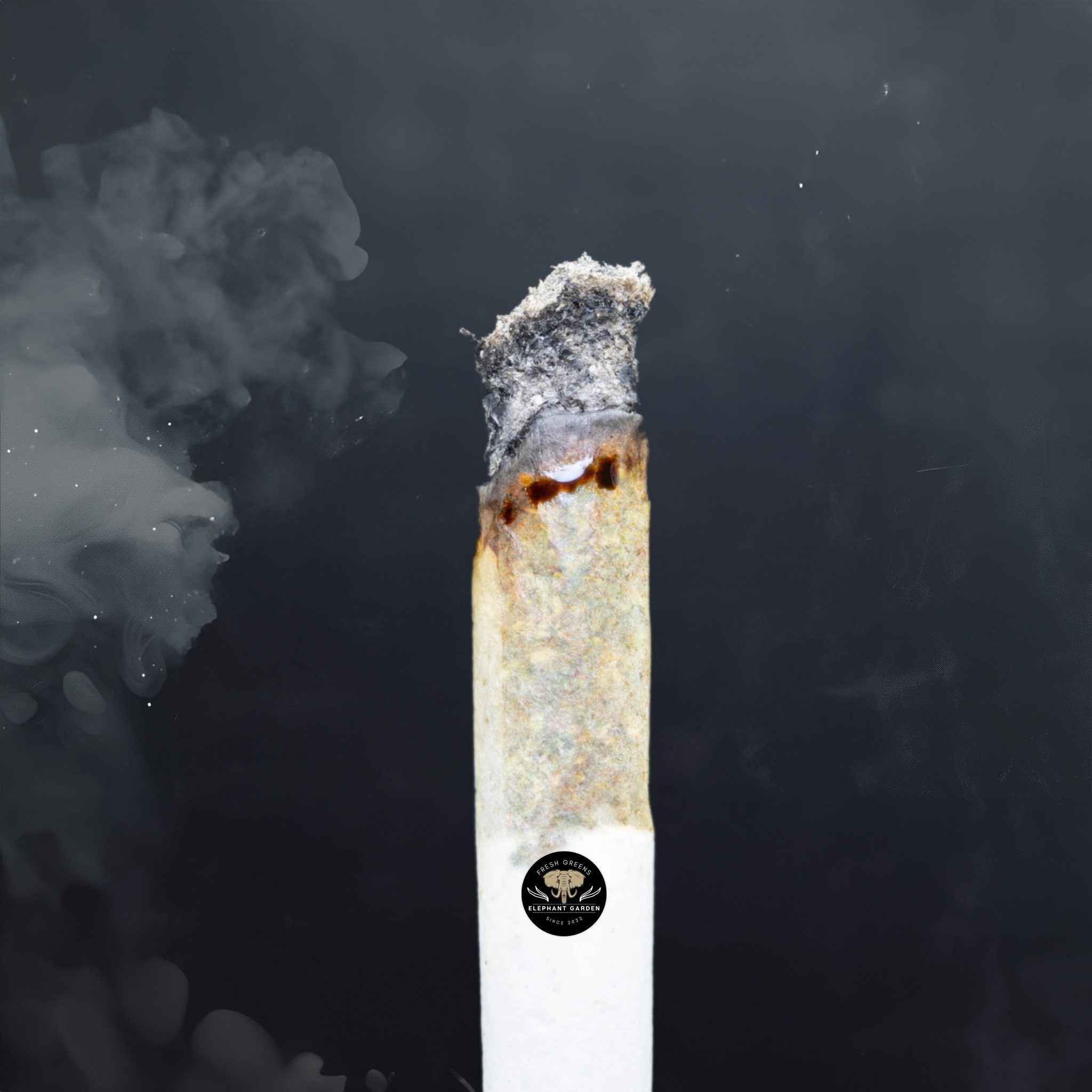 Buy Blueberry Space Cake at Elephant Garden Co Weed Dispensary Close 5 30 24