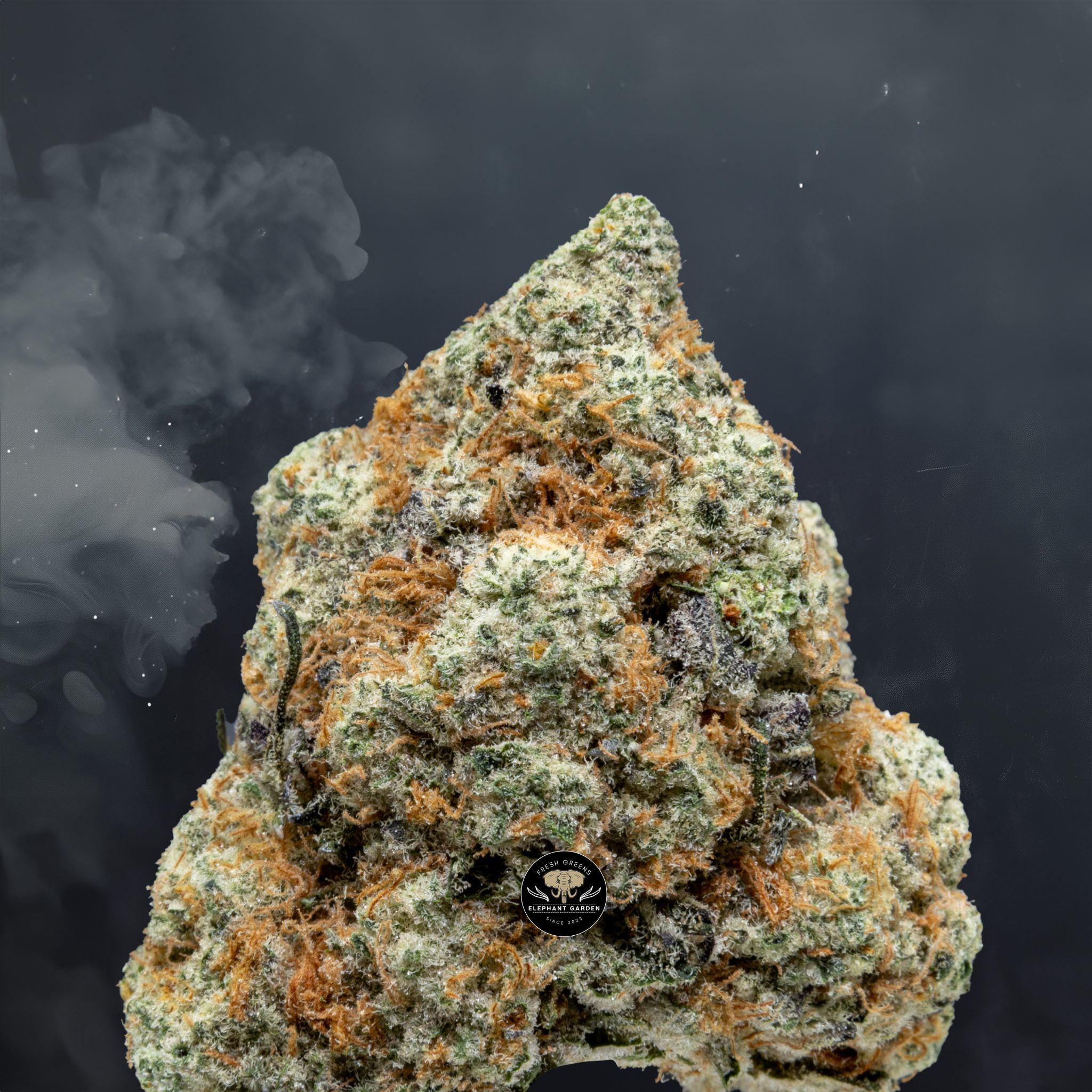 Buy Blueberry Space Cake at Elephant Garden Co Weed Dispensary Close 5 30 24 2