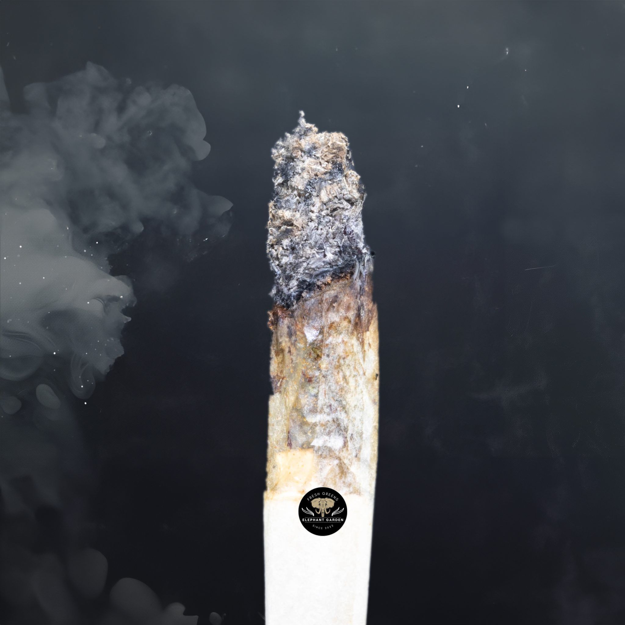 Buy Dank Schrader at Elephant Garden Co Weed Dispensary Burn Test 3 21 2024 2