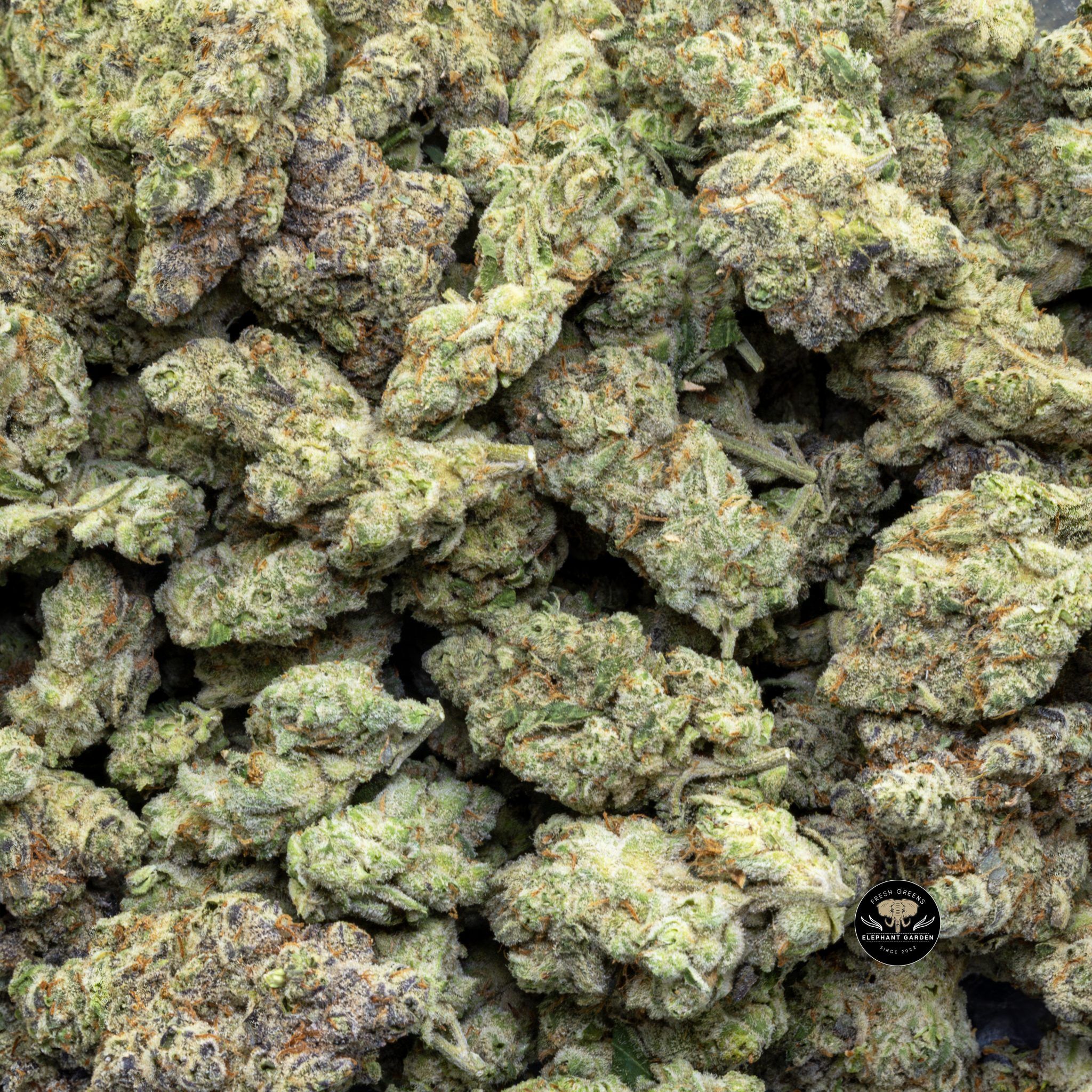 Buy Artificial Red (Bulk) at Elephant Garden Co Weed Dispensary 3 12 2024