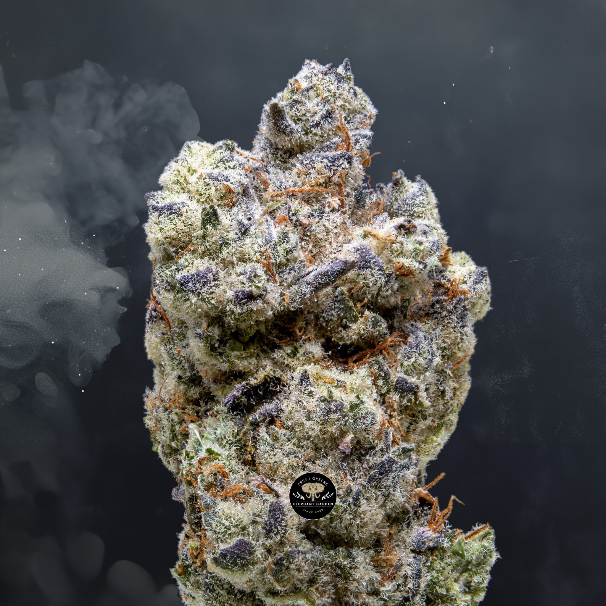Buy Artificial Red at Elephant Garden Co Weed Dispensary Close 3 12 2024