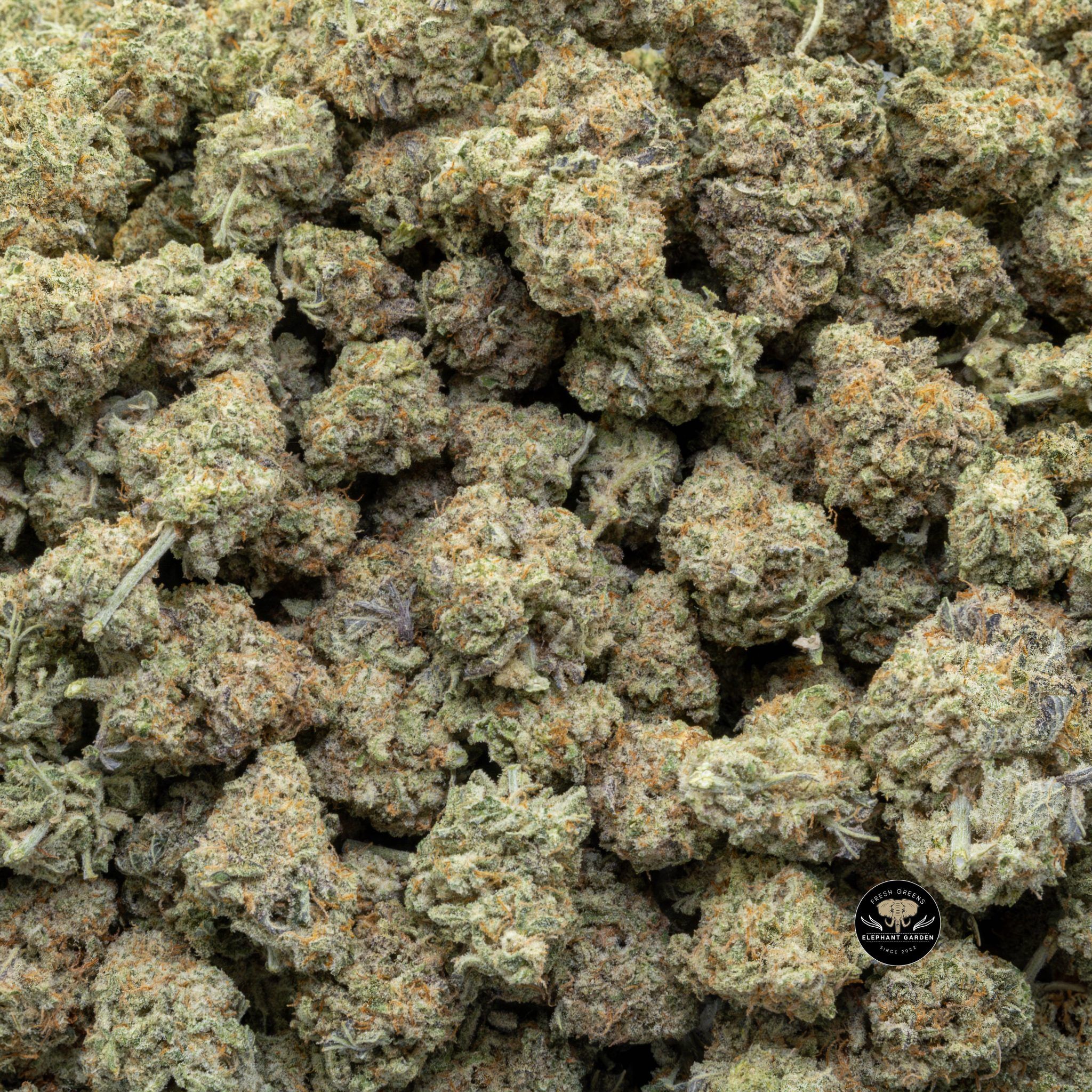 Buy Biscotti Cookies (Bulk) at Elephant Garden Co Weed Dispensary Close 3 21 2024