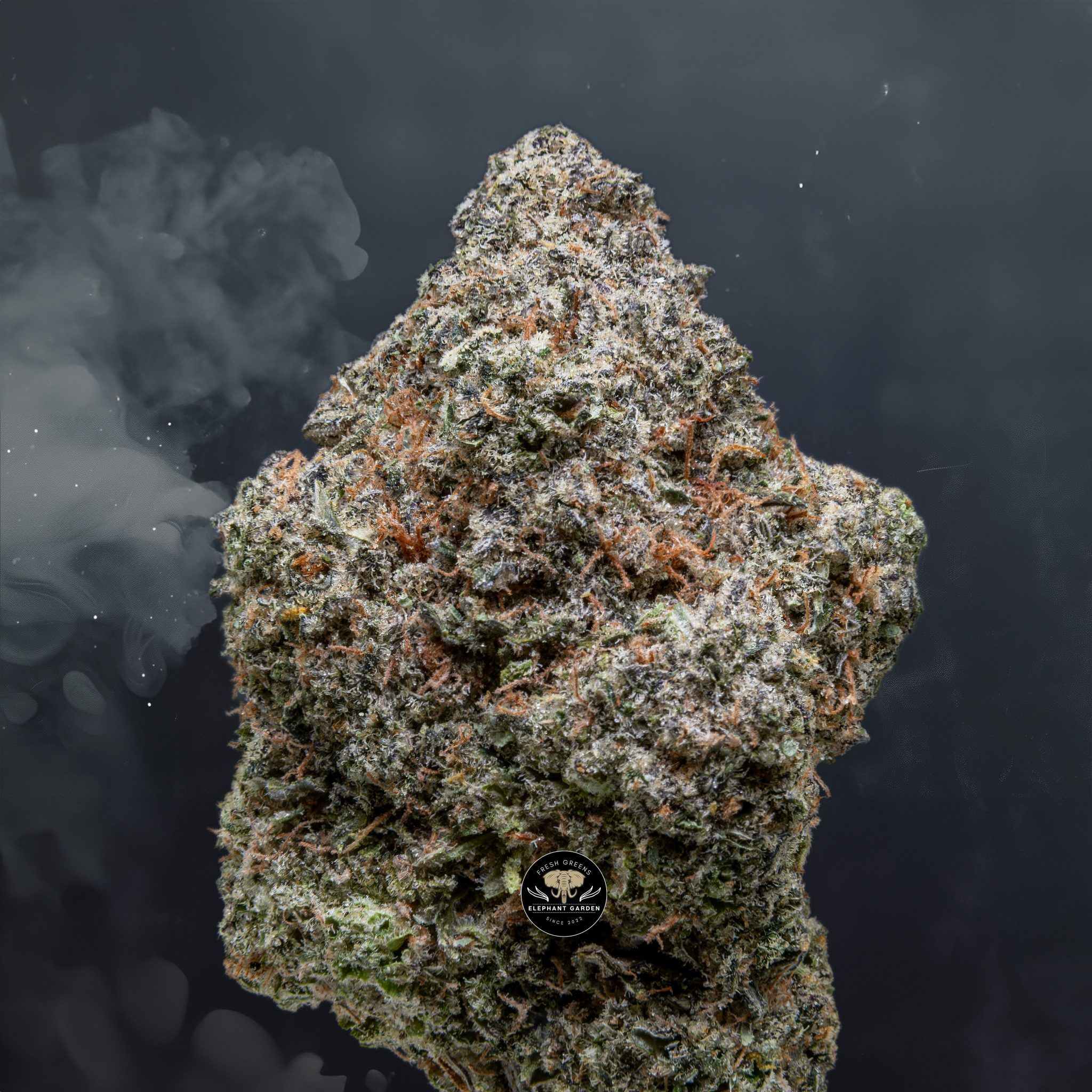 Buy Diesel Dough at Elephant Garden Co Weed Dispensary Close 3 18 2024