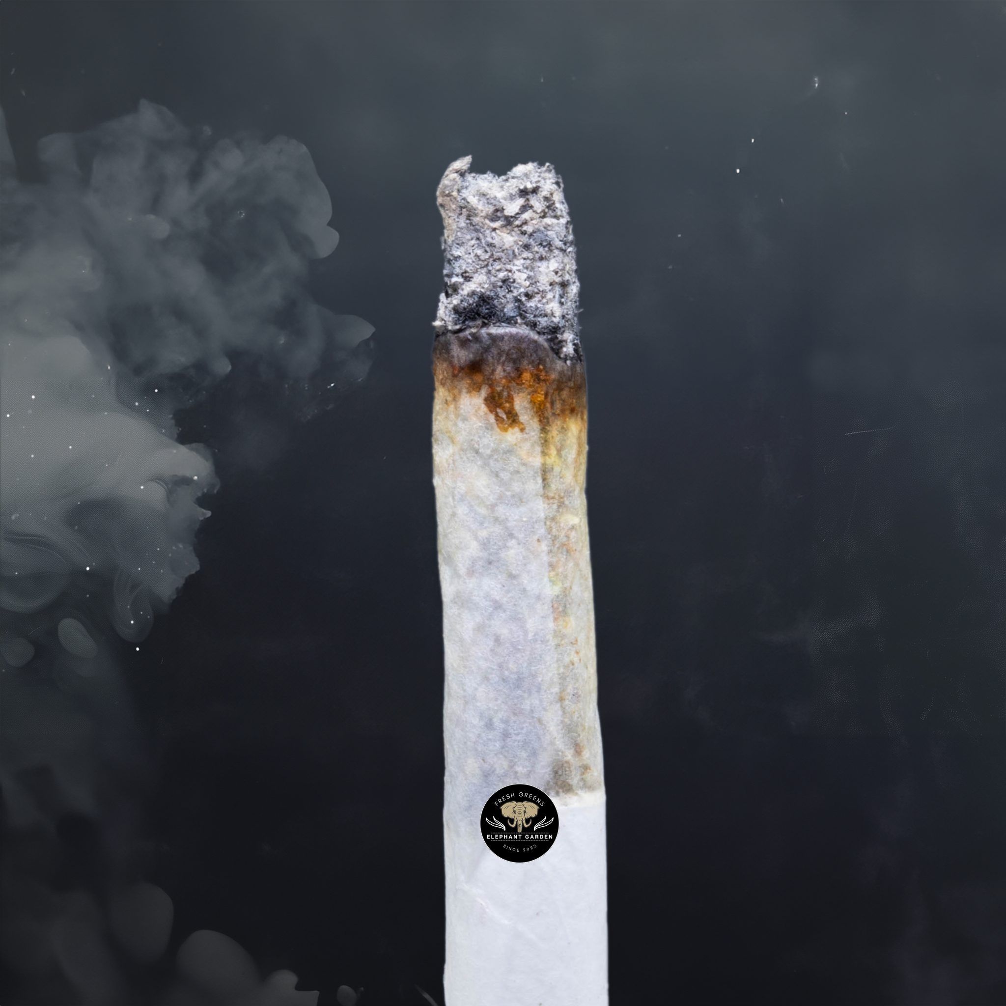 Buy Flap Jacks at Elephant Garden Co Weed Dispensary Burn Test 8 7 2024 2