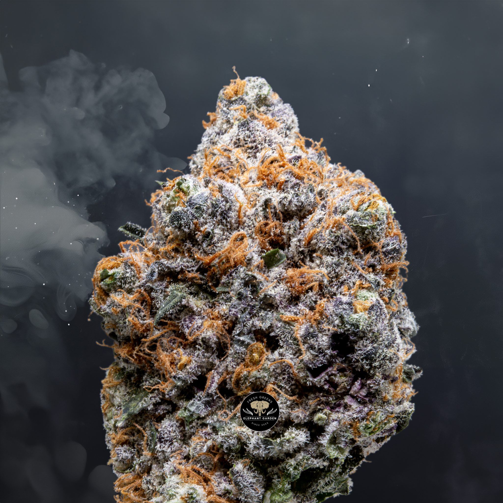 Buy Flap Jacks at Elephant Garden Co Weed Dispensary Close 8 7 24