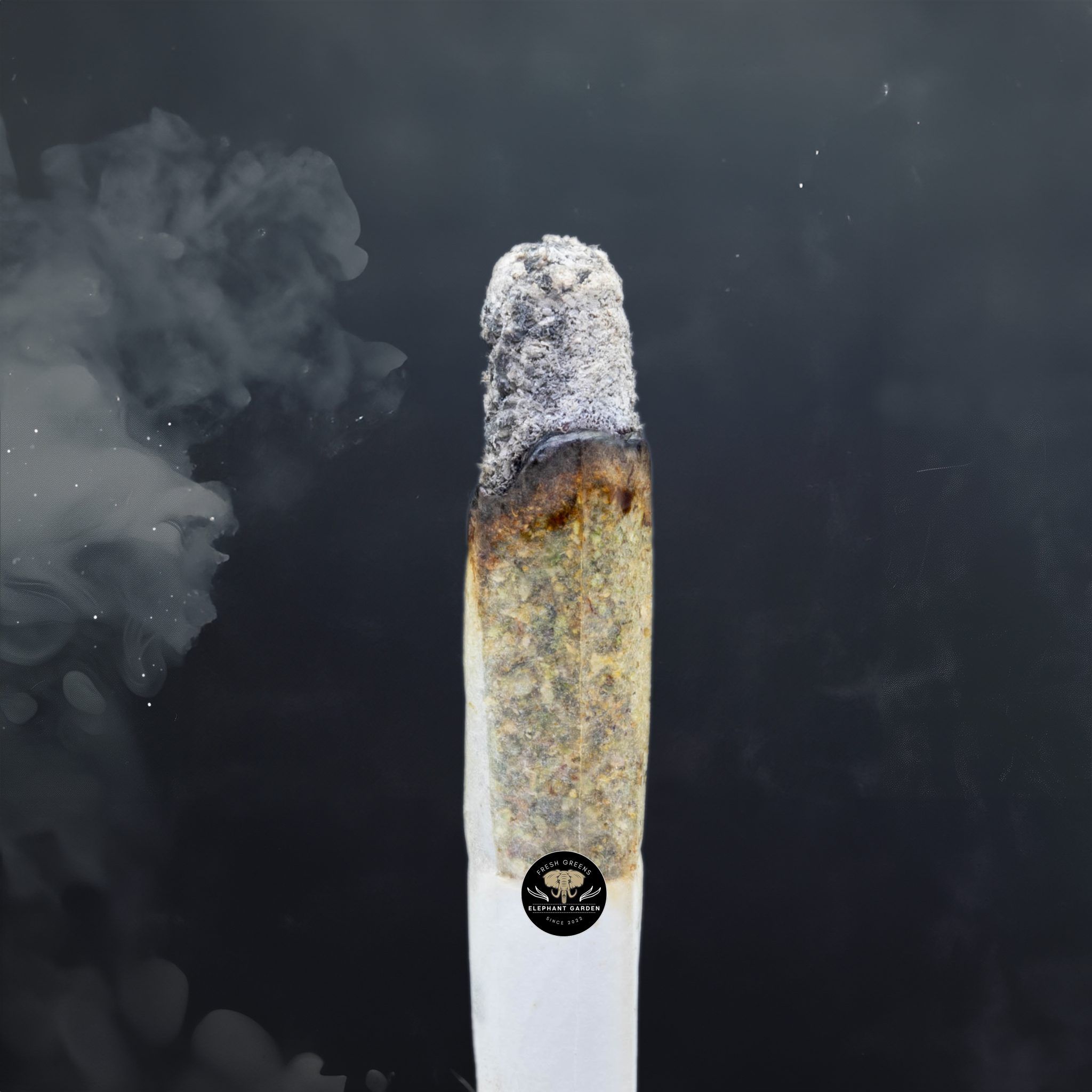 Buy Frumpz at Elephant Garden Co Weed Dispensary Burn Test 3 12 2024 2