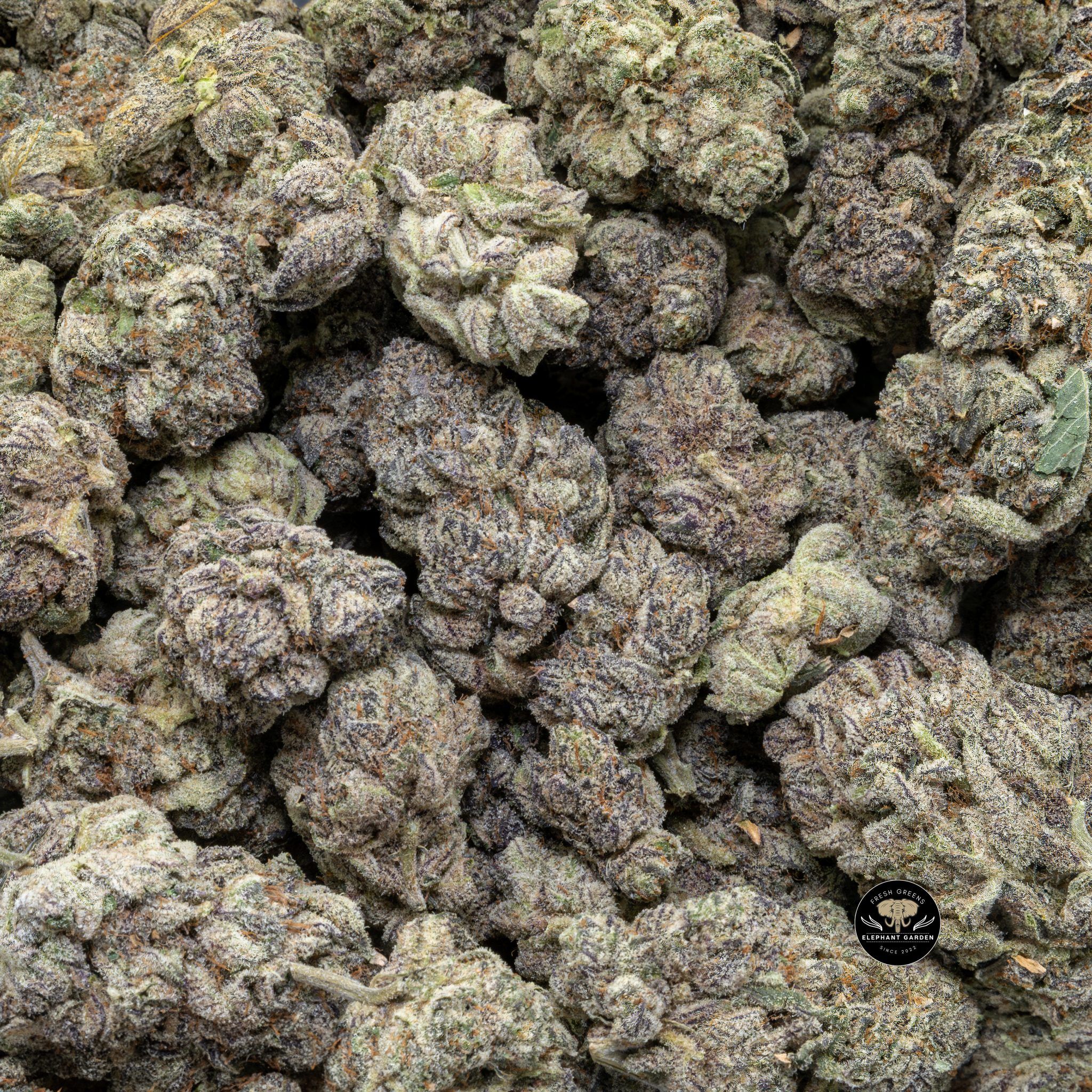 Buy Rainbow Belt (Bulk) at Elephant Garden Co Weed Dispensary Close 6 18 2024