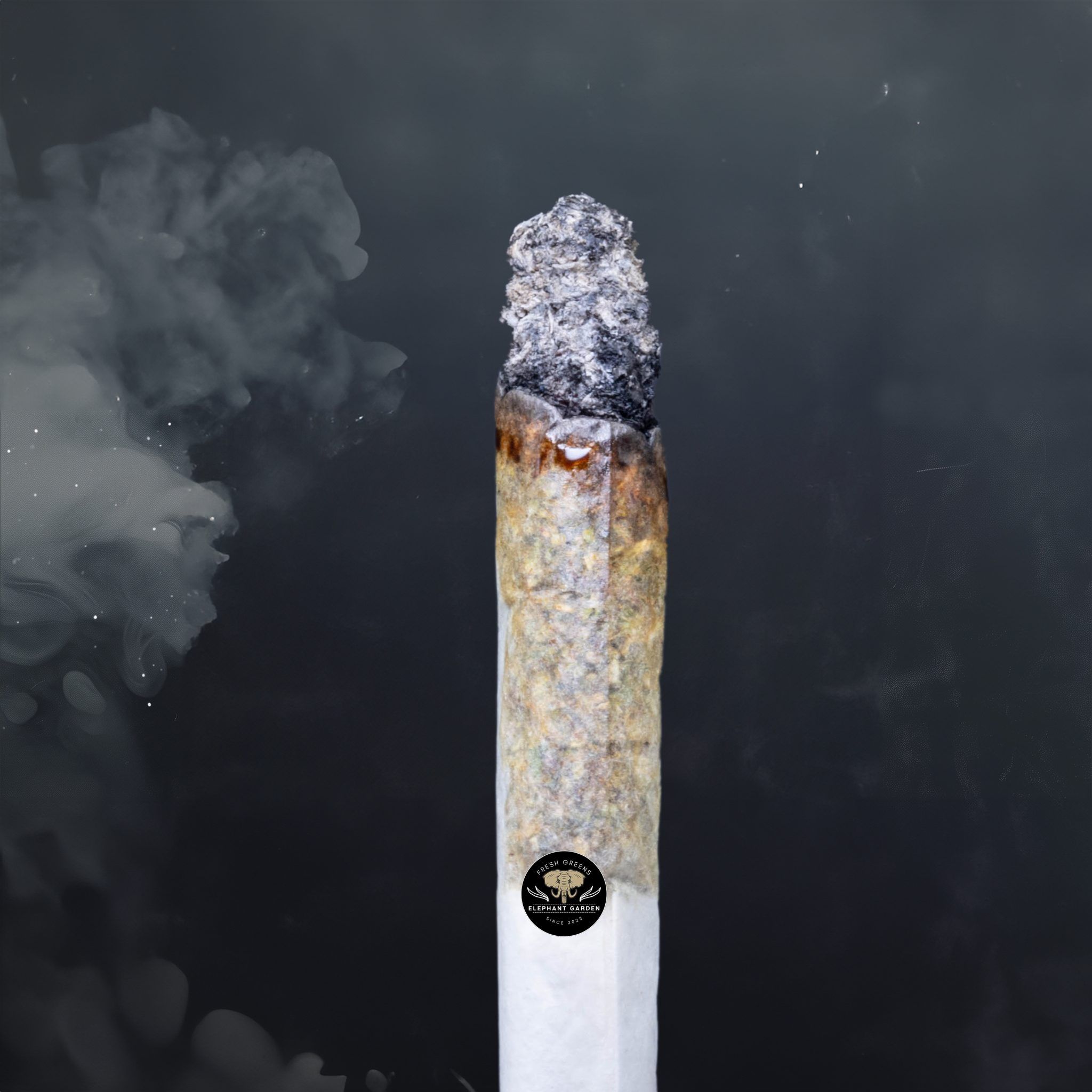Buy Rainbow Belt at Elephant Garden Co Weed Dispensary Burn Test 6 18 2024 2