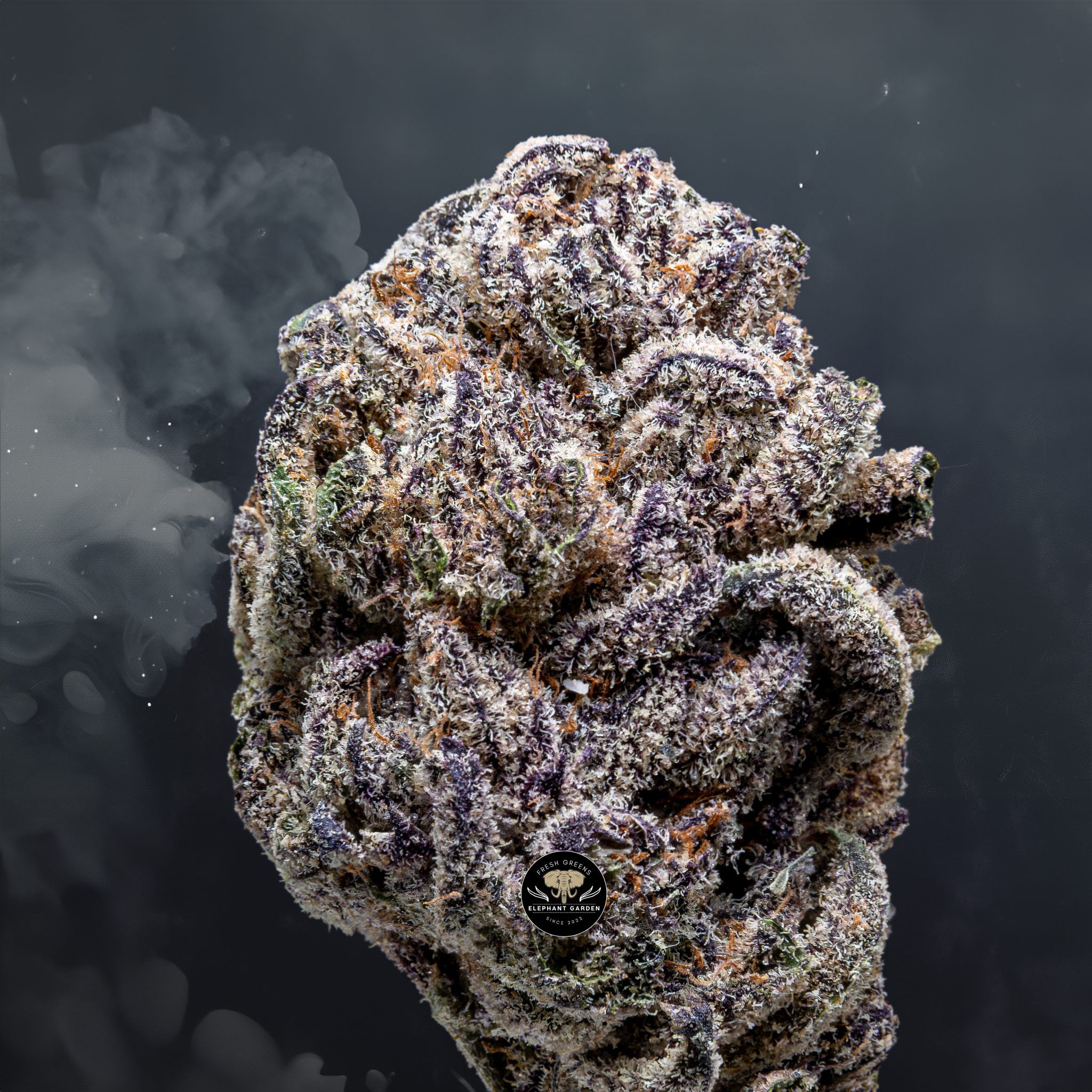 Buy Rainbow Belt at Elephant Garden Co Weed Dispensary Close 6 18 24