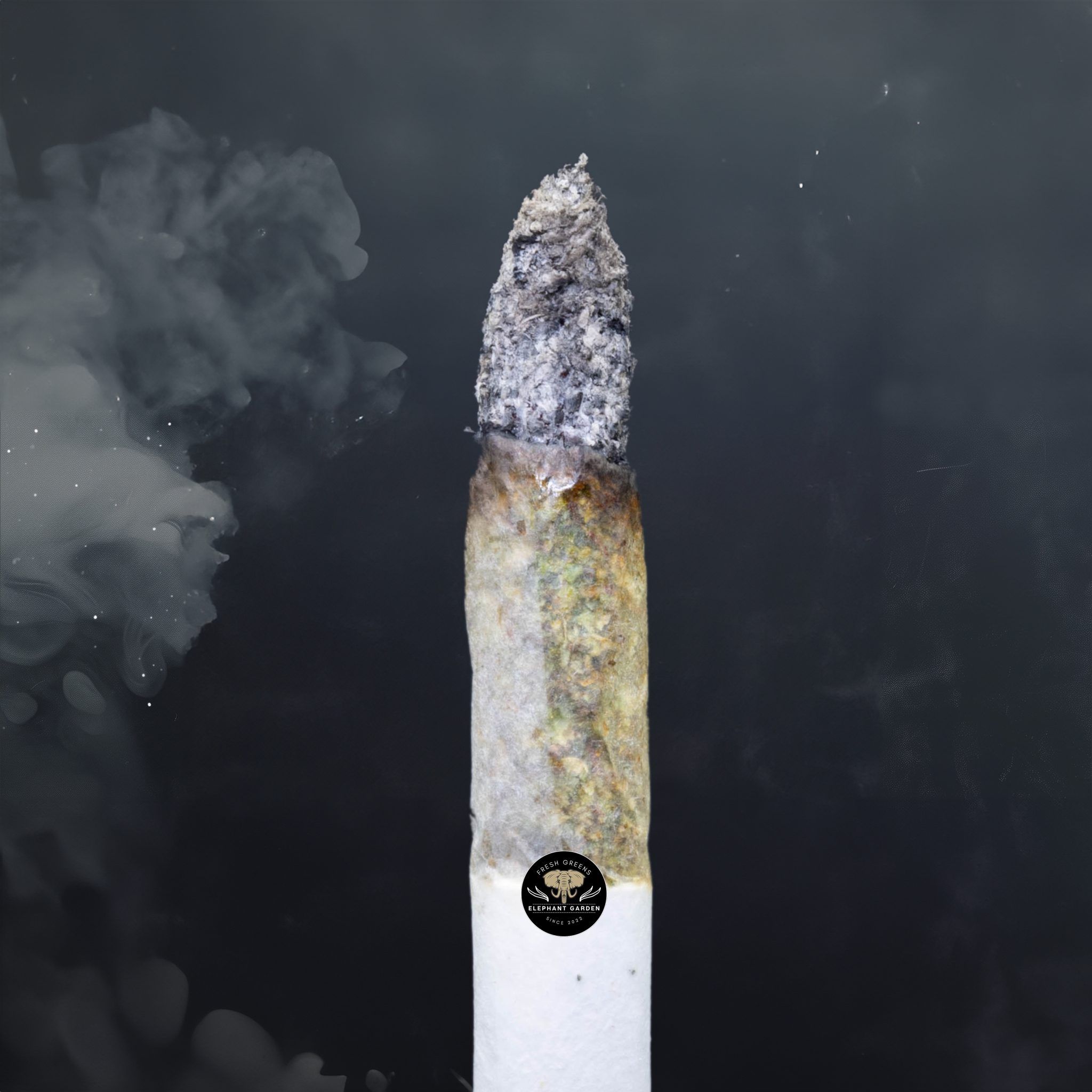 Buy Jealous at Elephant Garden Co Weed Dispensary Burn Test 6 18 2024 2