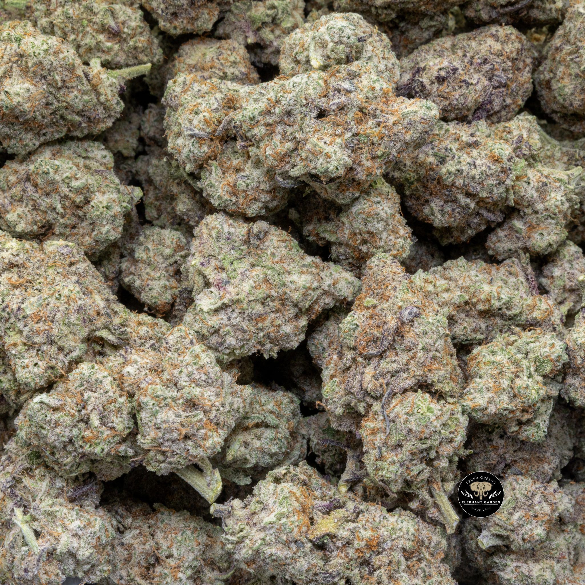 Buy Mac (Bulk) at Elephant Garden Co Weed Dispensary Close 8 1 2024