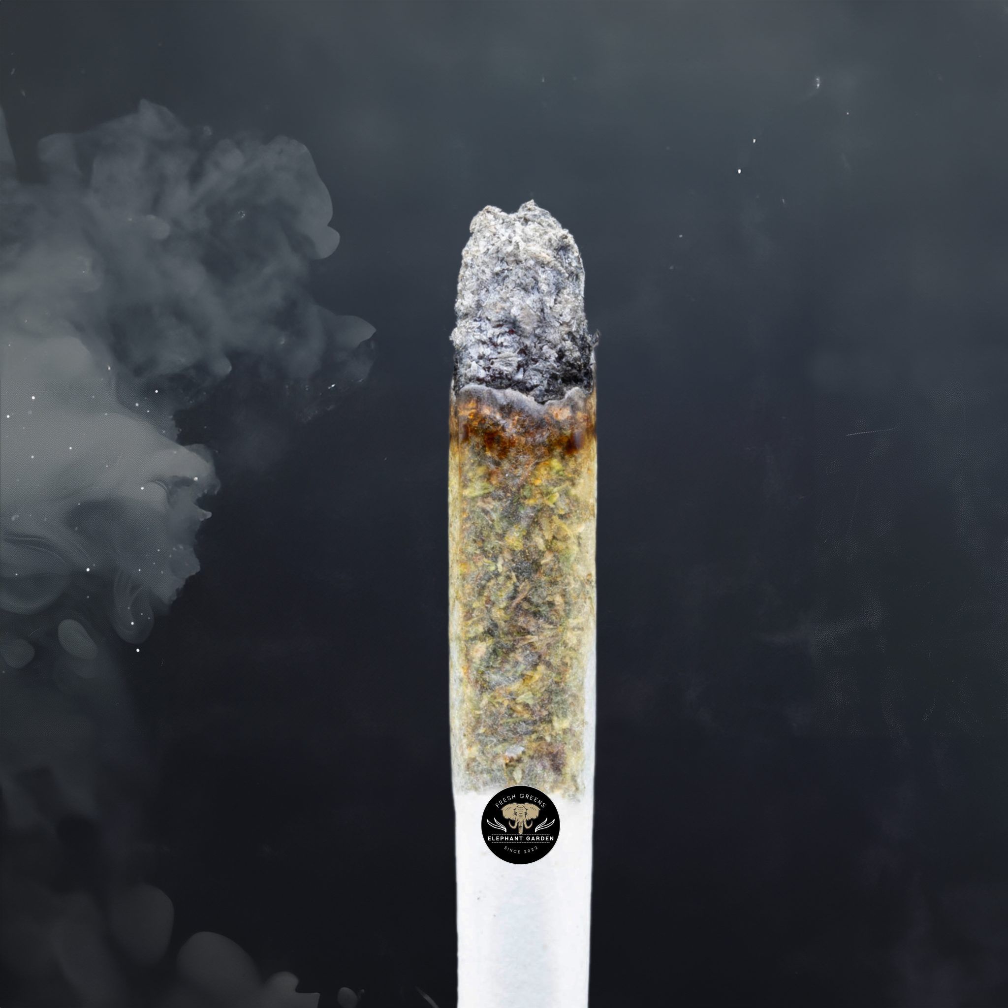 Buy Mku at Elephant Garden Co Weed Dispensary Burn Test 6 3 2024 2