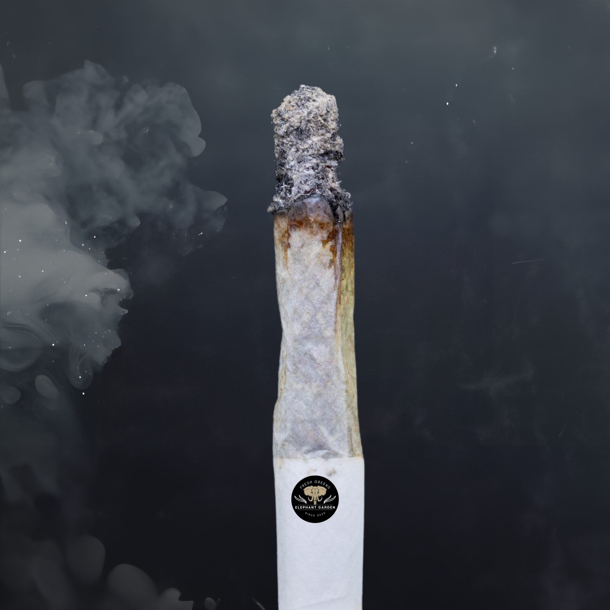 Buy Mac at Elephant Garden Co Weed Dispensary Burn Test 8 1 2024 2