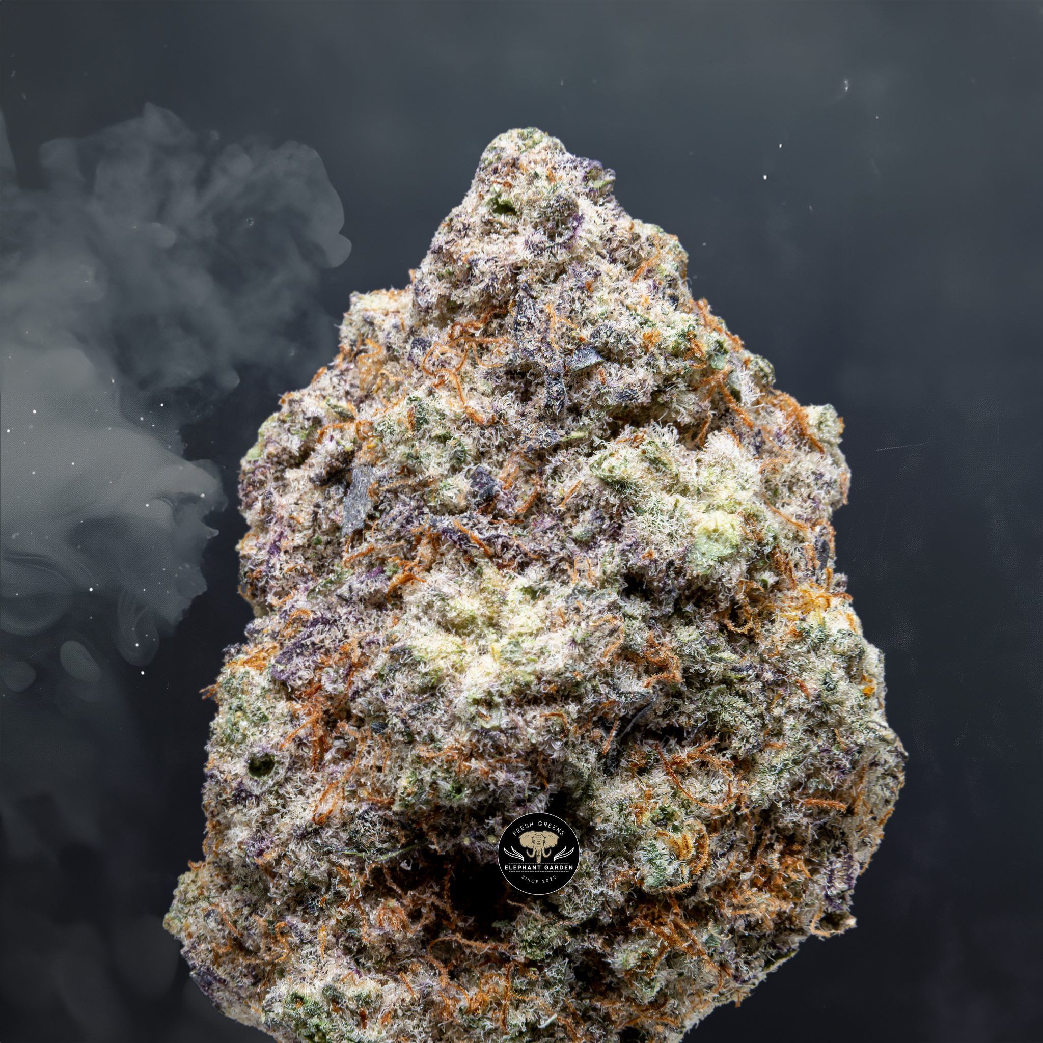 Buy Mac at Elephant Garden Co Weed Dispensary Close 8 1 24 2