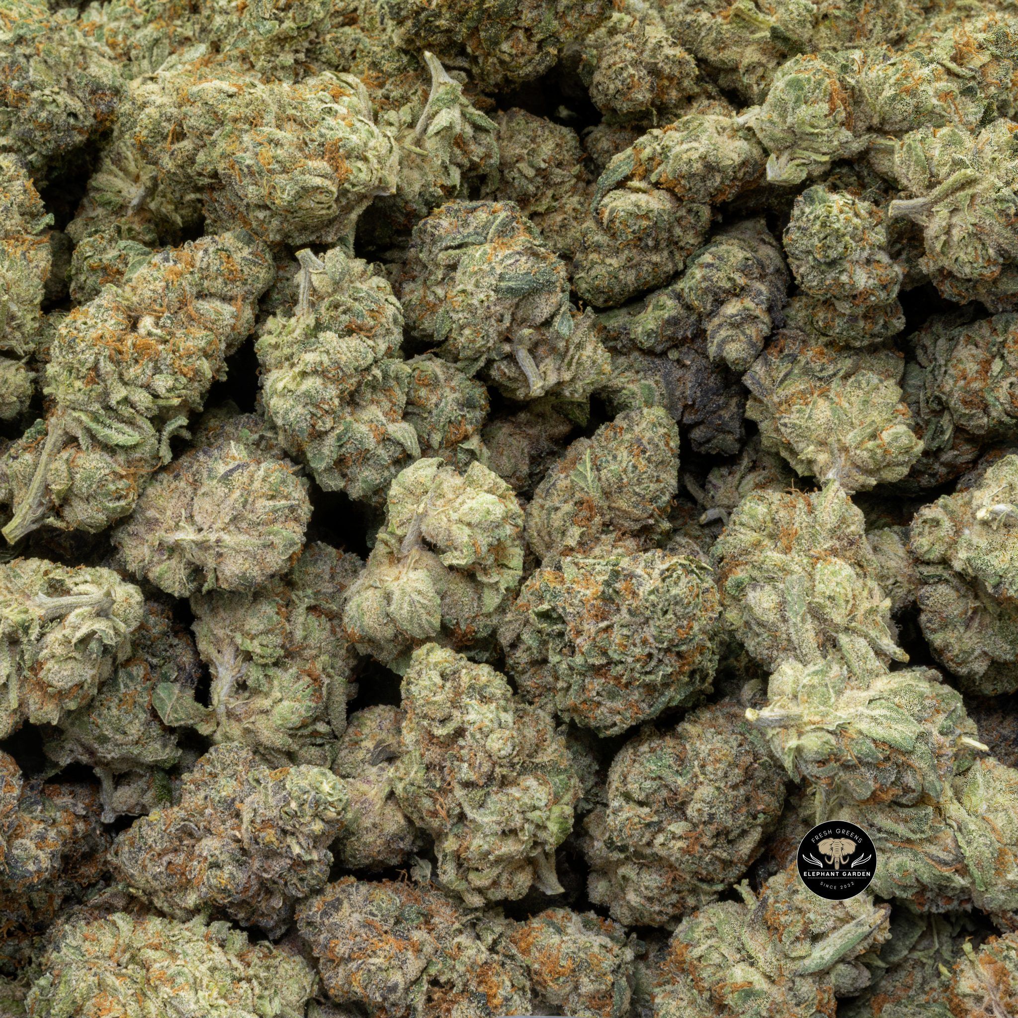 Buy Citrus Punch (Bulk) at Elephant Garden Co Weed Dispensary Close 6 18 2024
