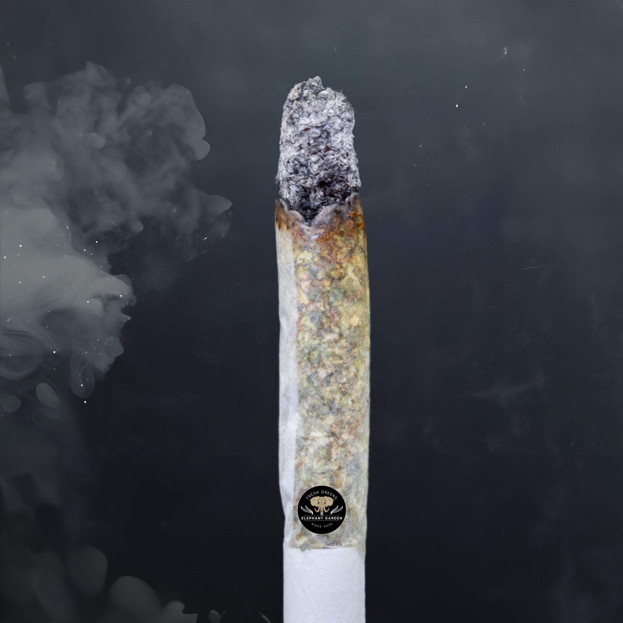 Buy Citrus Punch at Elephant Garden Co Weed Dispensary Burn Test 6 18 2024 2
