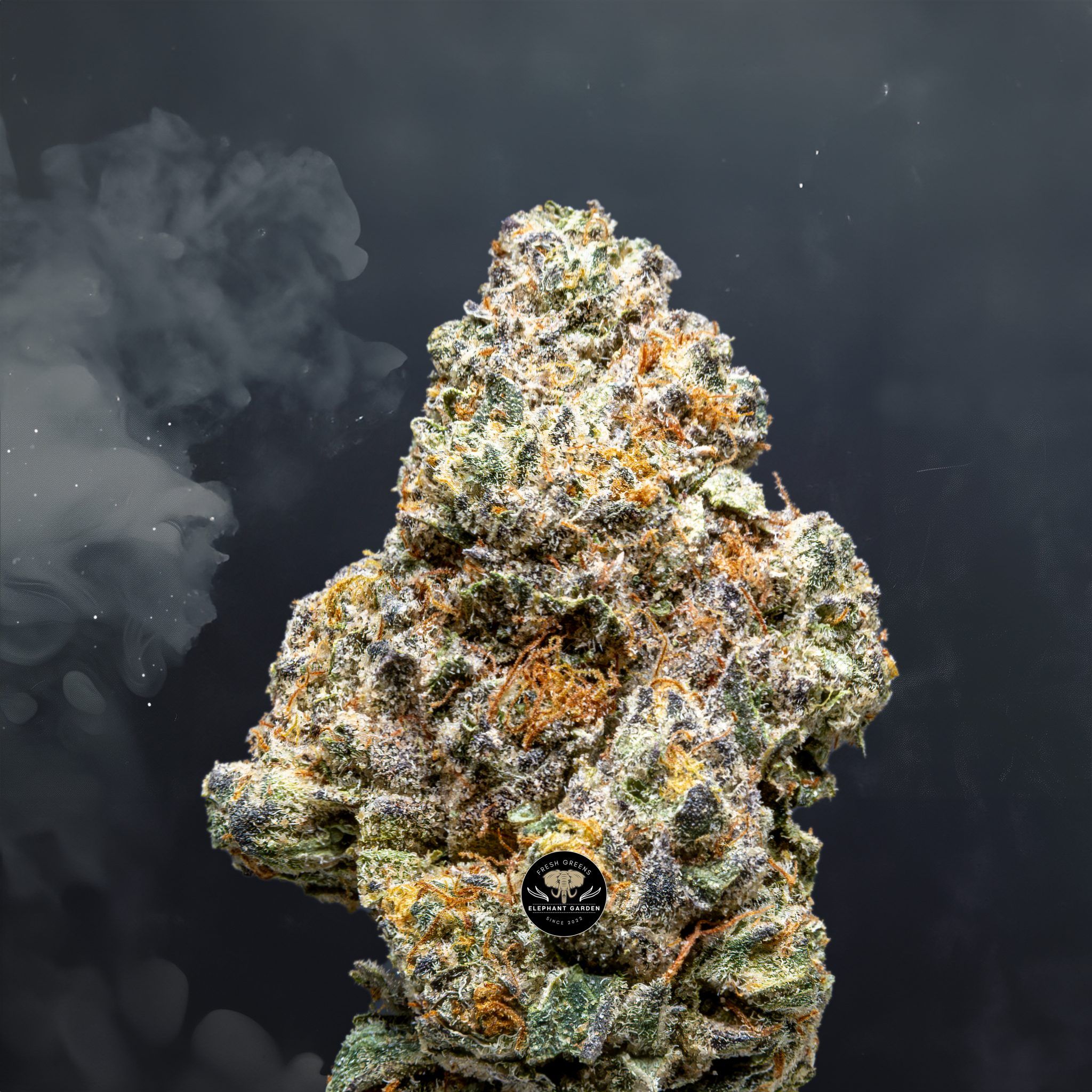 Buy Citrus Punch at Elephant Garden Co Weed Dispensary Close 6 24 24