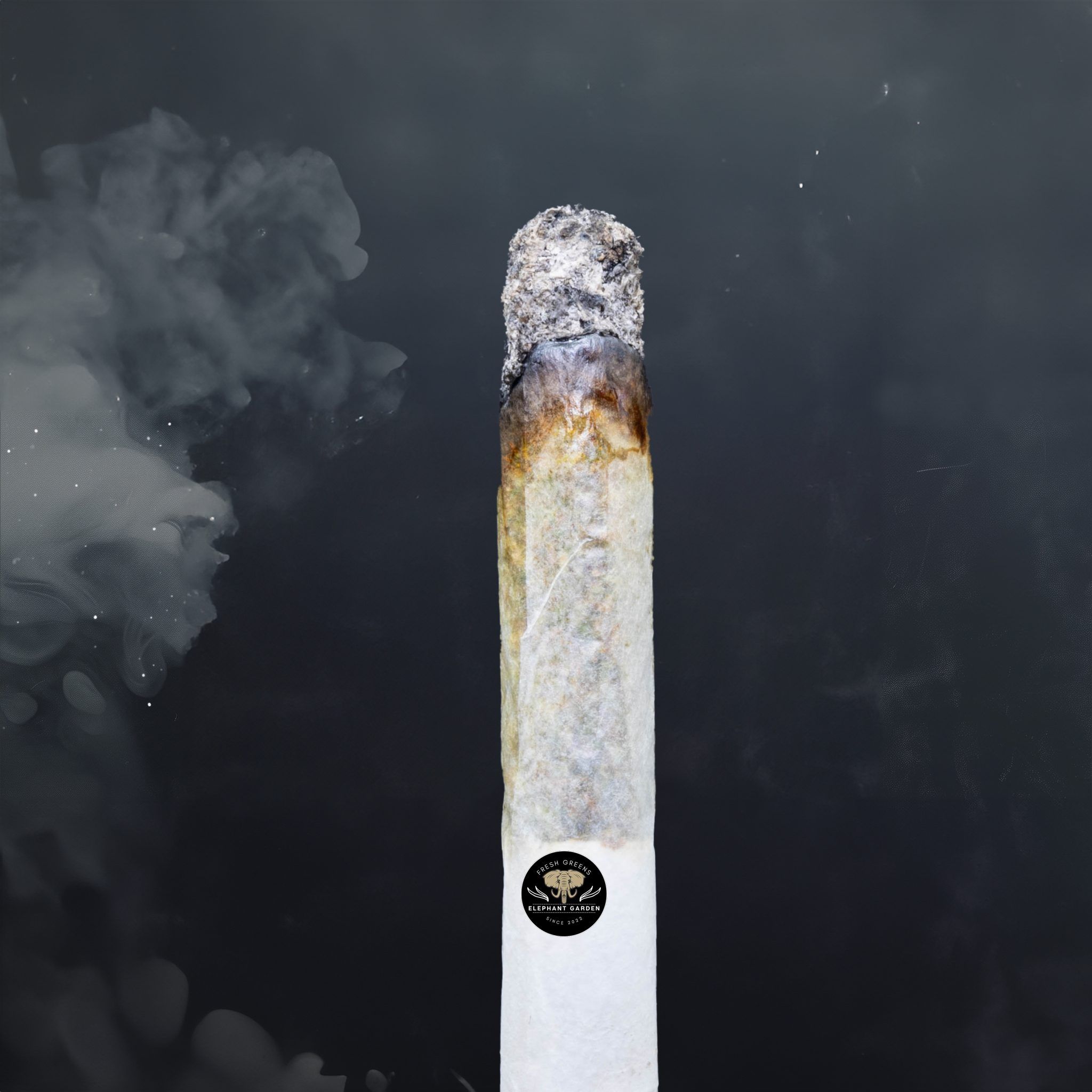 Buy Dark Rainbow at Elephant Garden Co Weed Dispensary Burn Test 6 18 2024 2