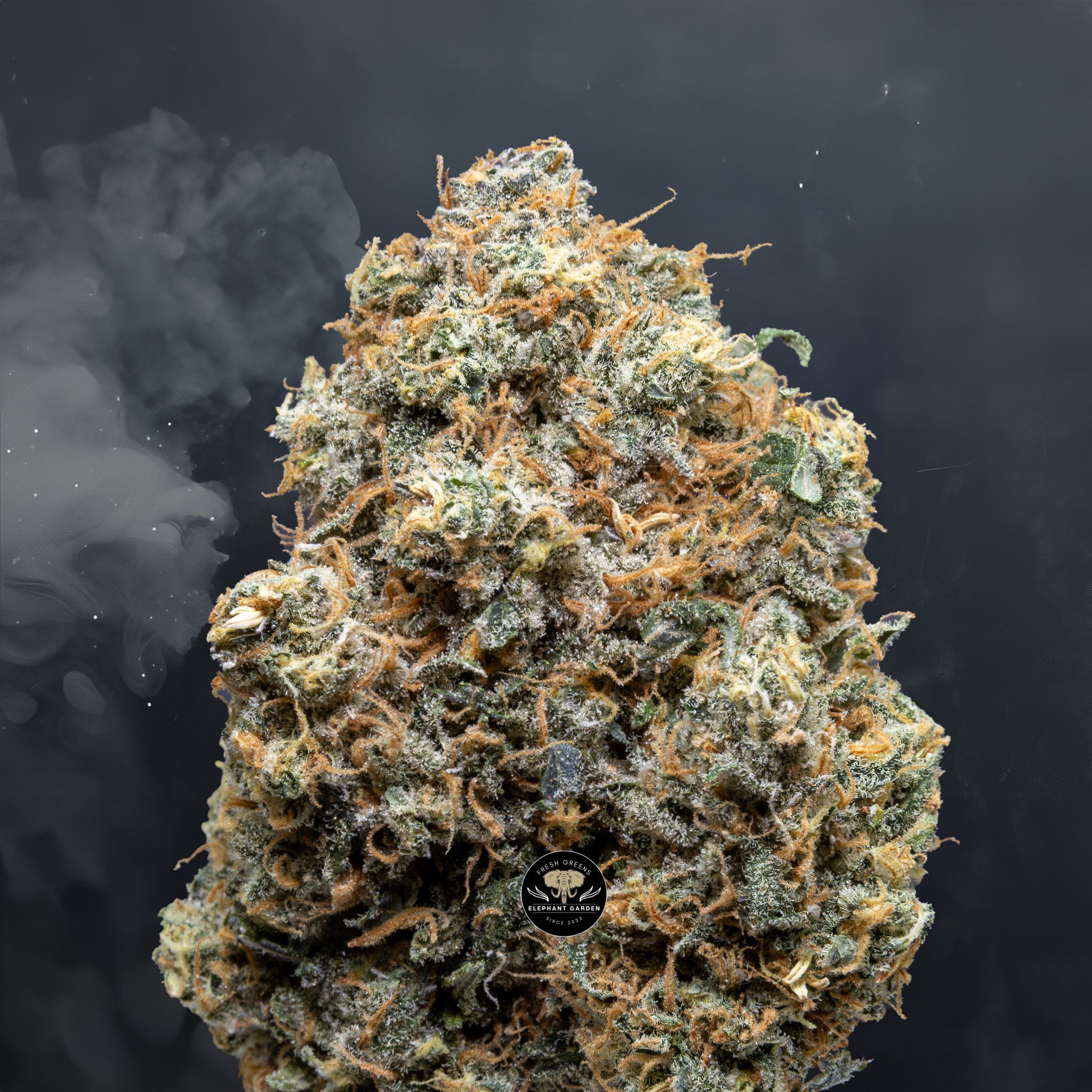 Buy Dark Rainbow at Elephant Garden Co Weed Dispensary Close 6 24 24