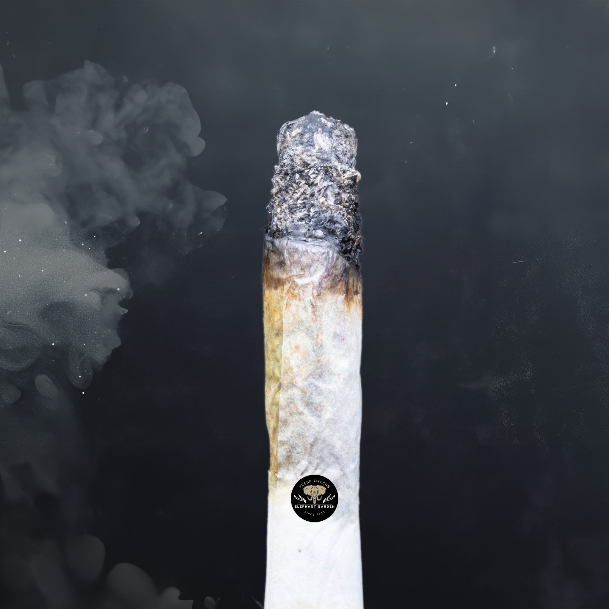 Buy Nebula at Elephant Garden Co Weed Dispensary Burn Test 6 10 2024 2