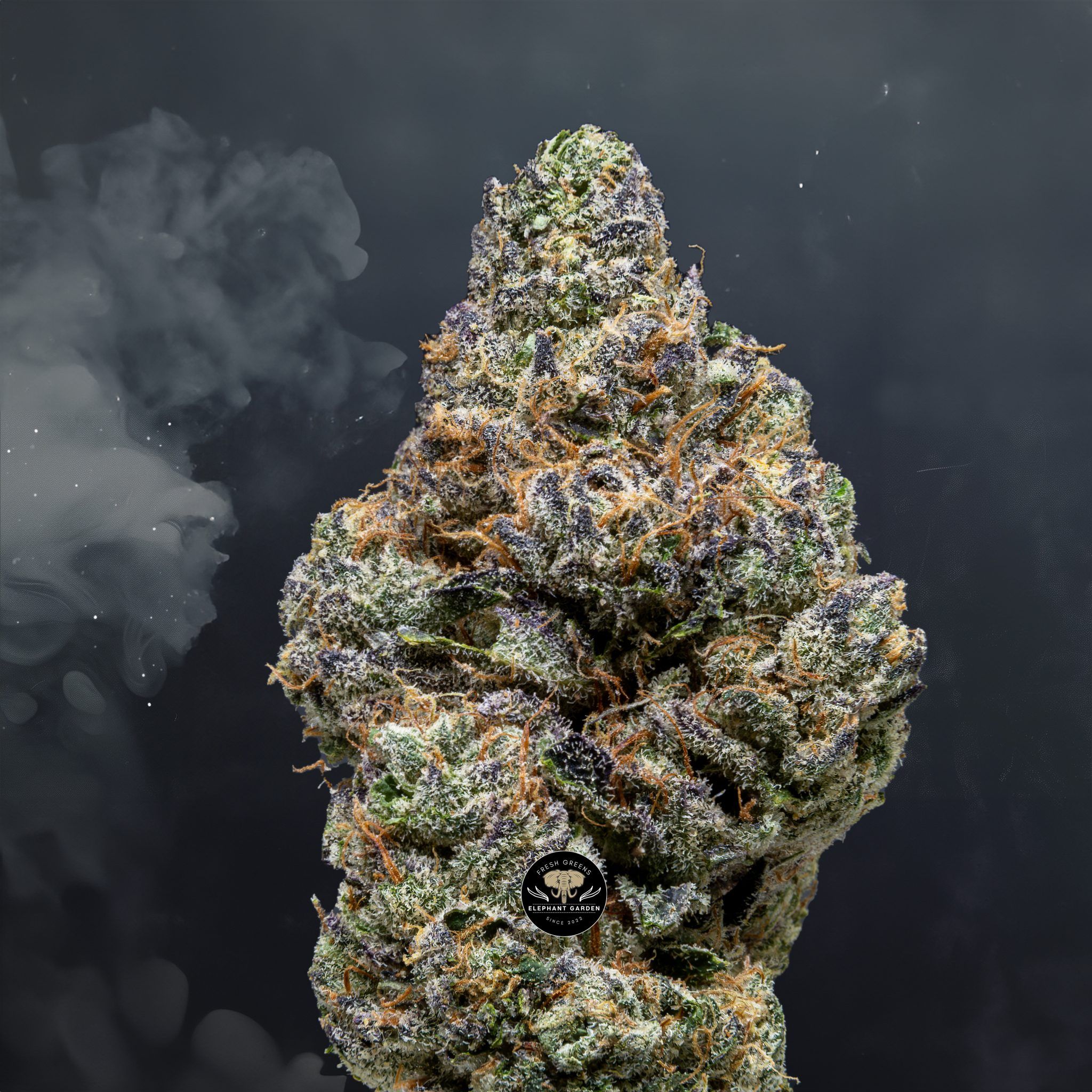 Buy Neubula at Elephant Garden Co Weed Dispensary Close 6 10 24