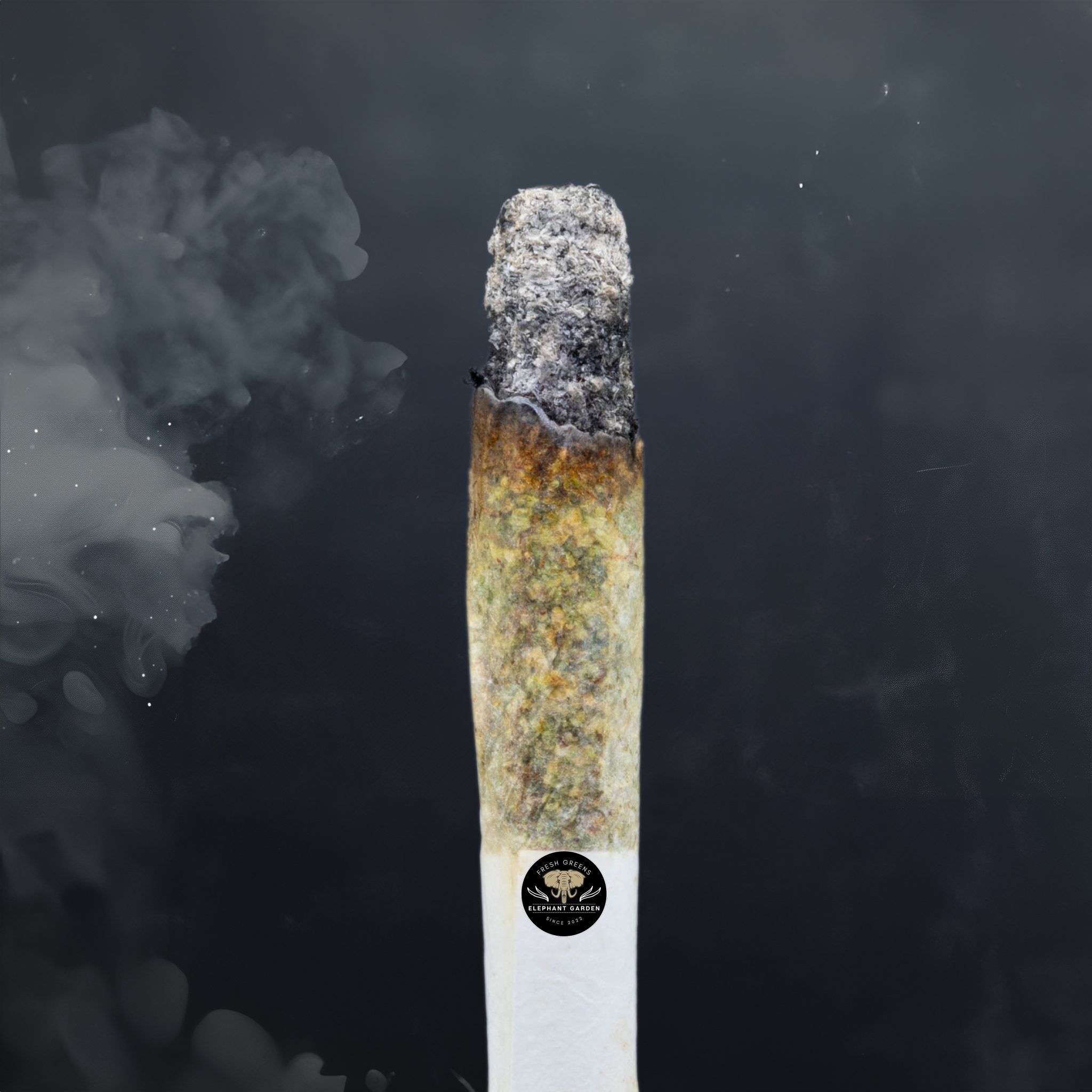 Buy Sour Tahoe at Elephant Garden Co Weed Dispensary Burn Test 6 18 2024 2
