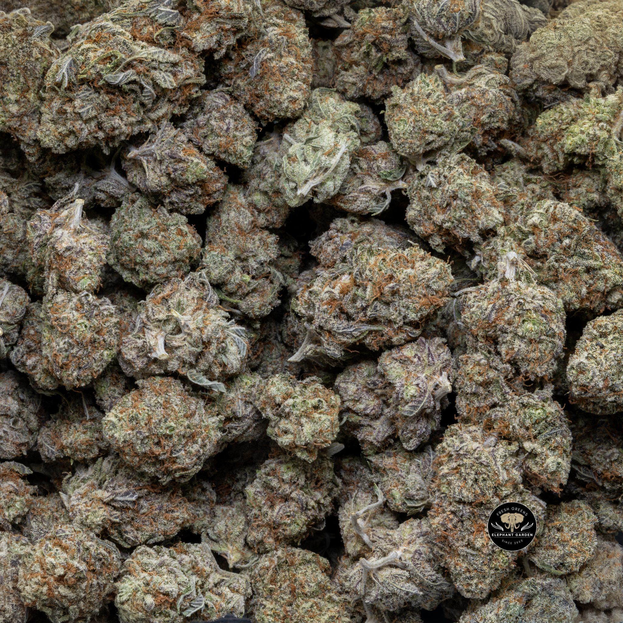 Buy Strawberry Cake (Bulk) at Elephant Garden Co Weed Dispensary Close 6 3 2024