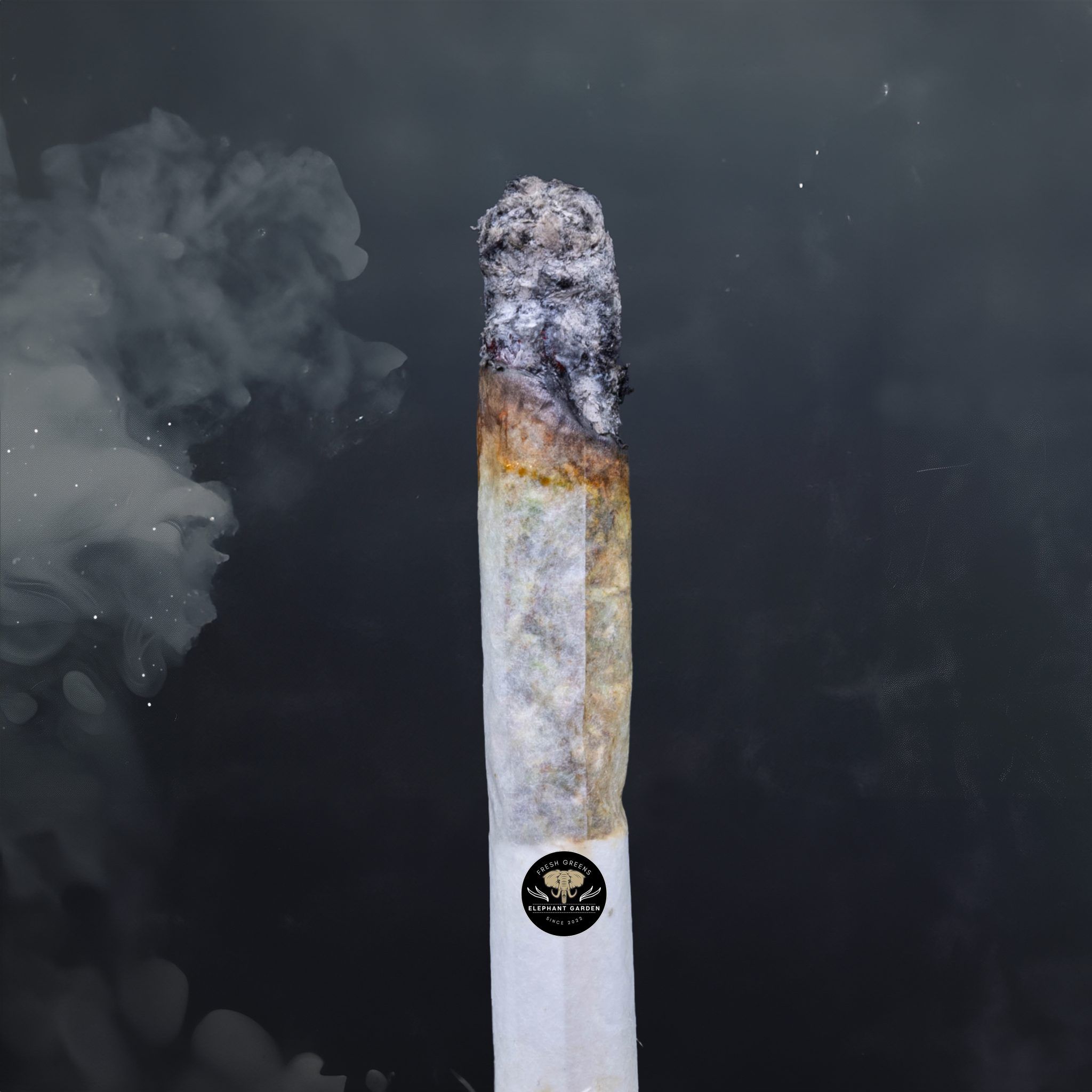 Buy Strawberry Cake at Elephant Garden Co Weed Dispensary Burn Test 6 3 2024 2