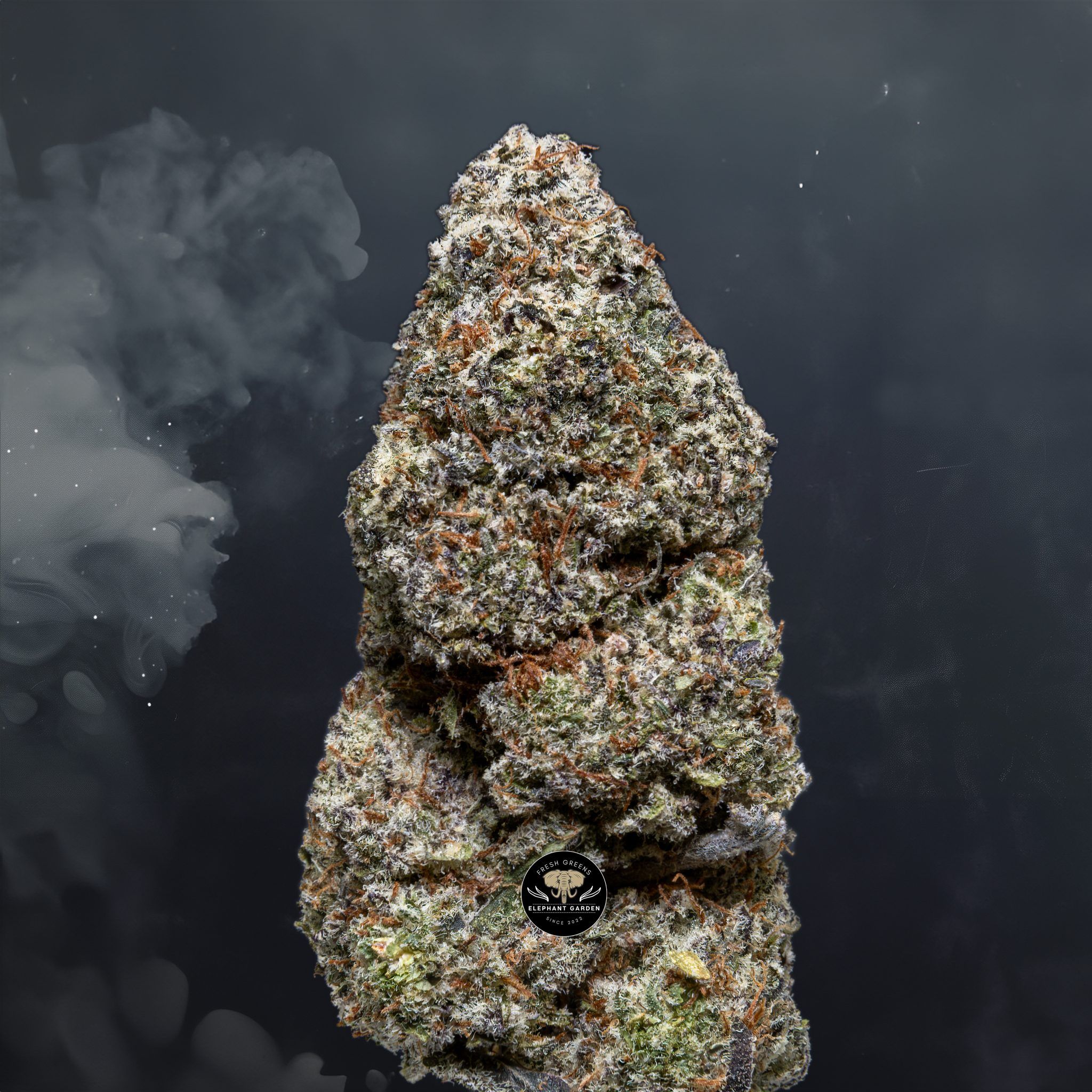 Buy Strawberry Cake at Elephant Garden Co Weed Dispensary Close 6 3 24