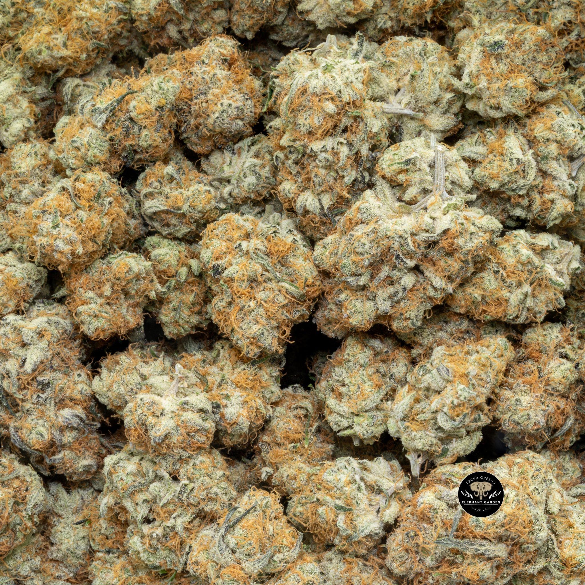 Buy Apricot Stomper (Bulk) at Elephant Garden Co Weed Dispensary Close 7 3 2024