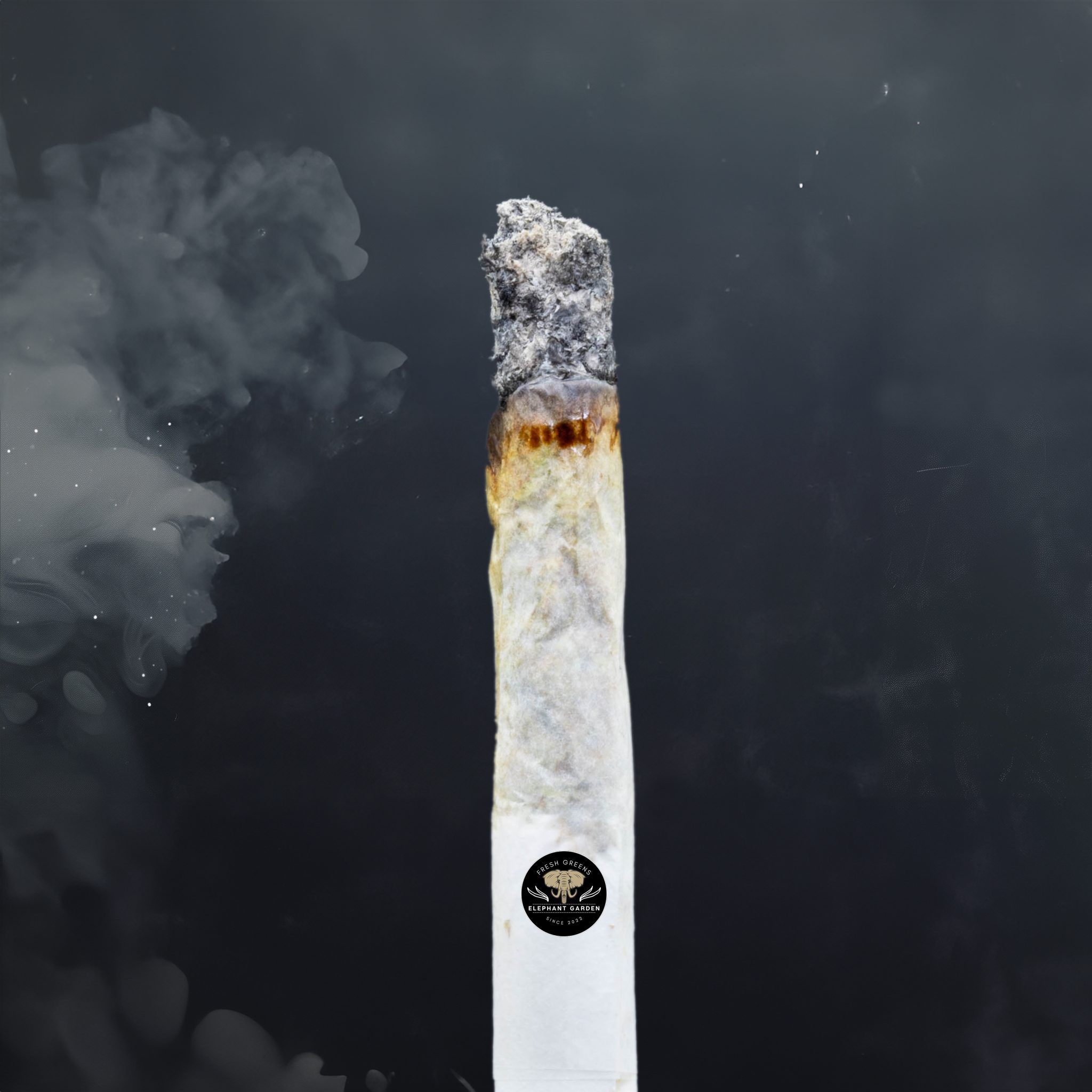 Buy Apricot Stomper at Elephant Garden Co Weed Dispensary Burn Test 7 3 2024 2