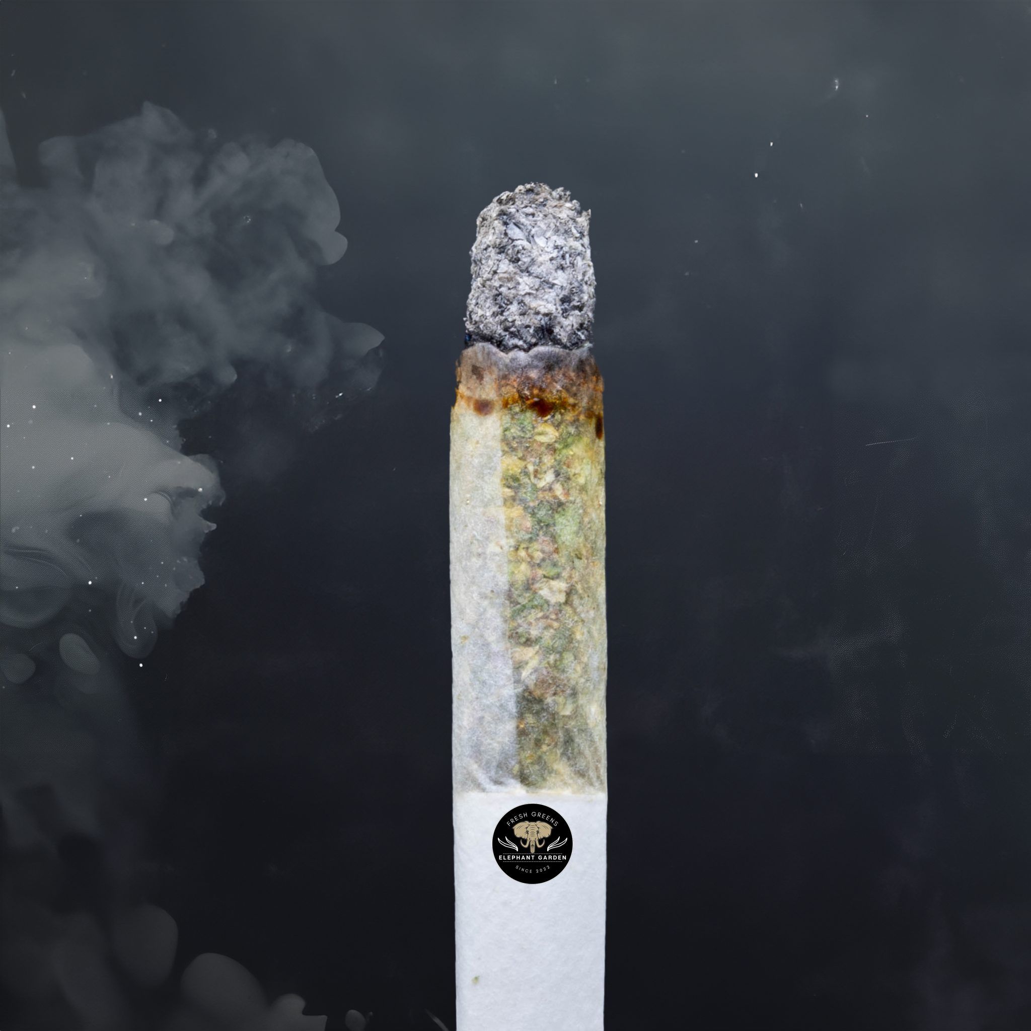 Buy Ghost Train Haze at Elephant Garden Co Weed Dispensary Burn Test 7 3 2024 2
