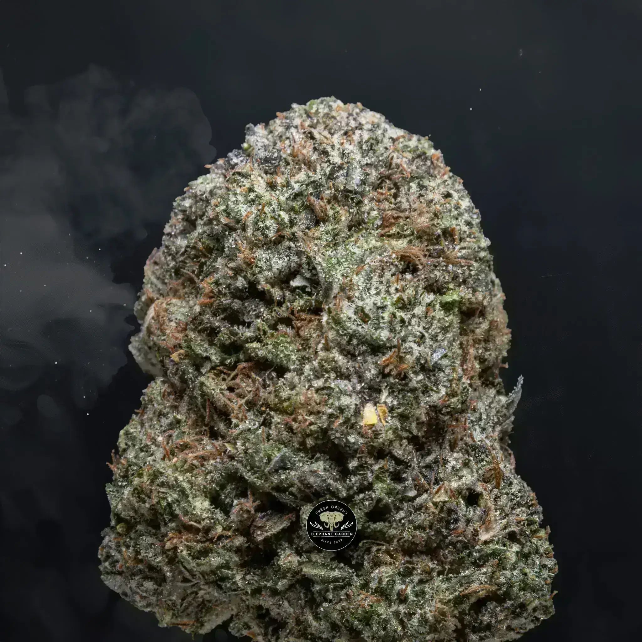 Buy Predator Pink at Elephant Garden Co Weed Dispensary Close 8 19 24 2