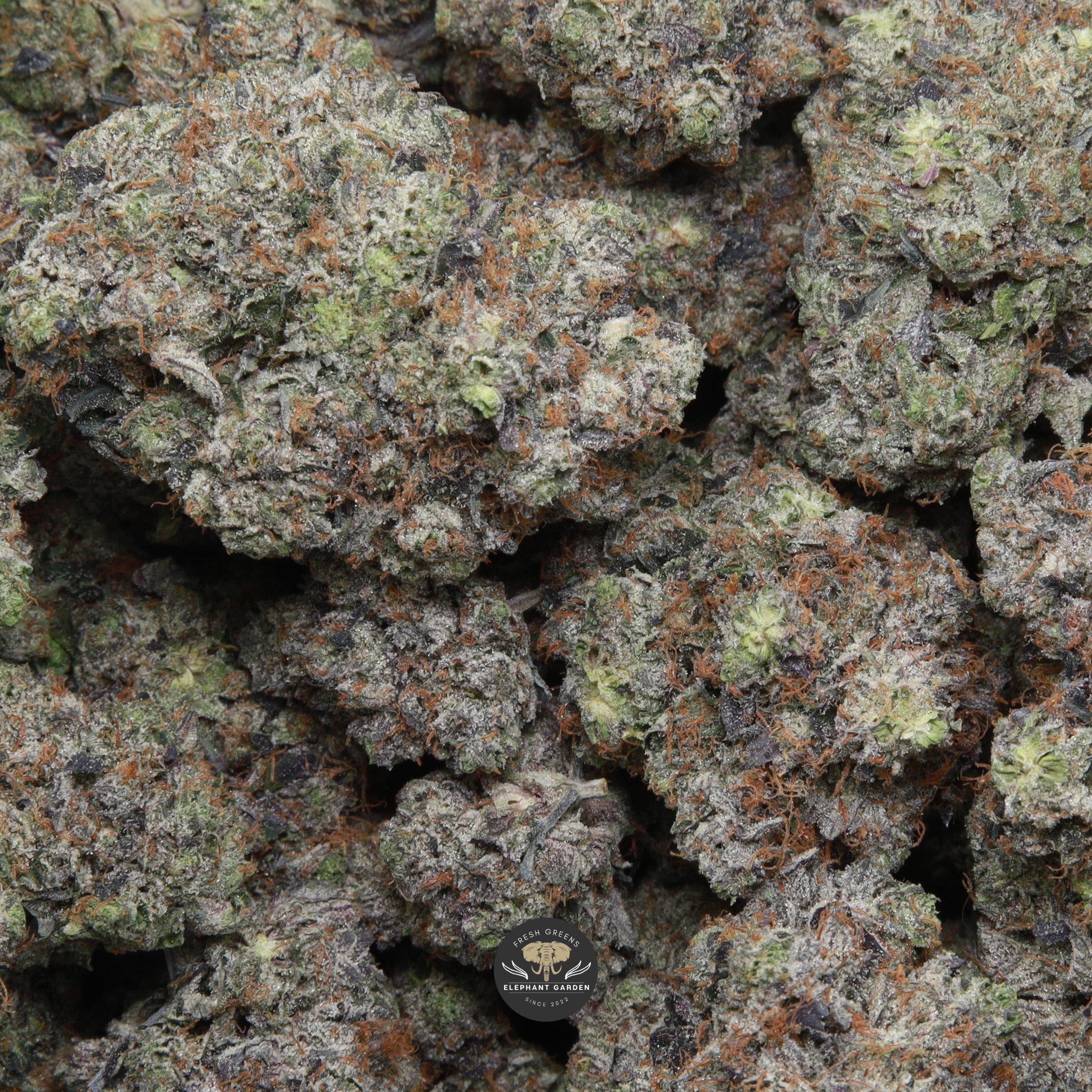 Coastal Pink AAAA - Image 2