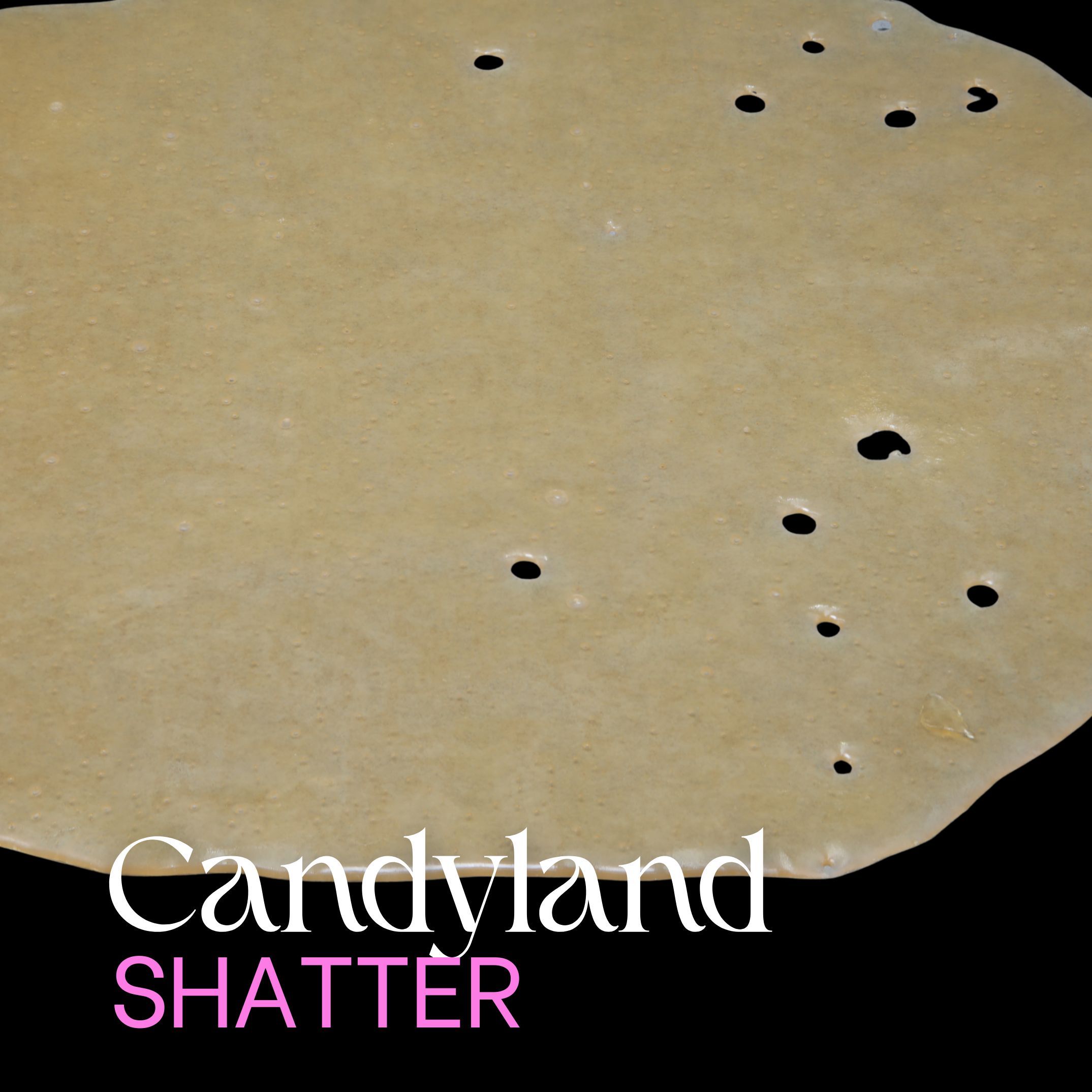 Candyland Hybrid Shatter from Elephant Garden with translucent amber glass-like appearance