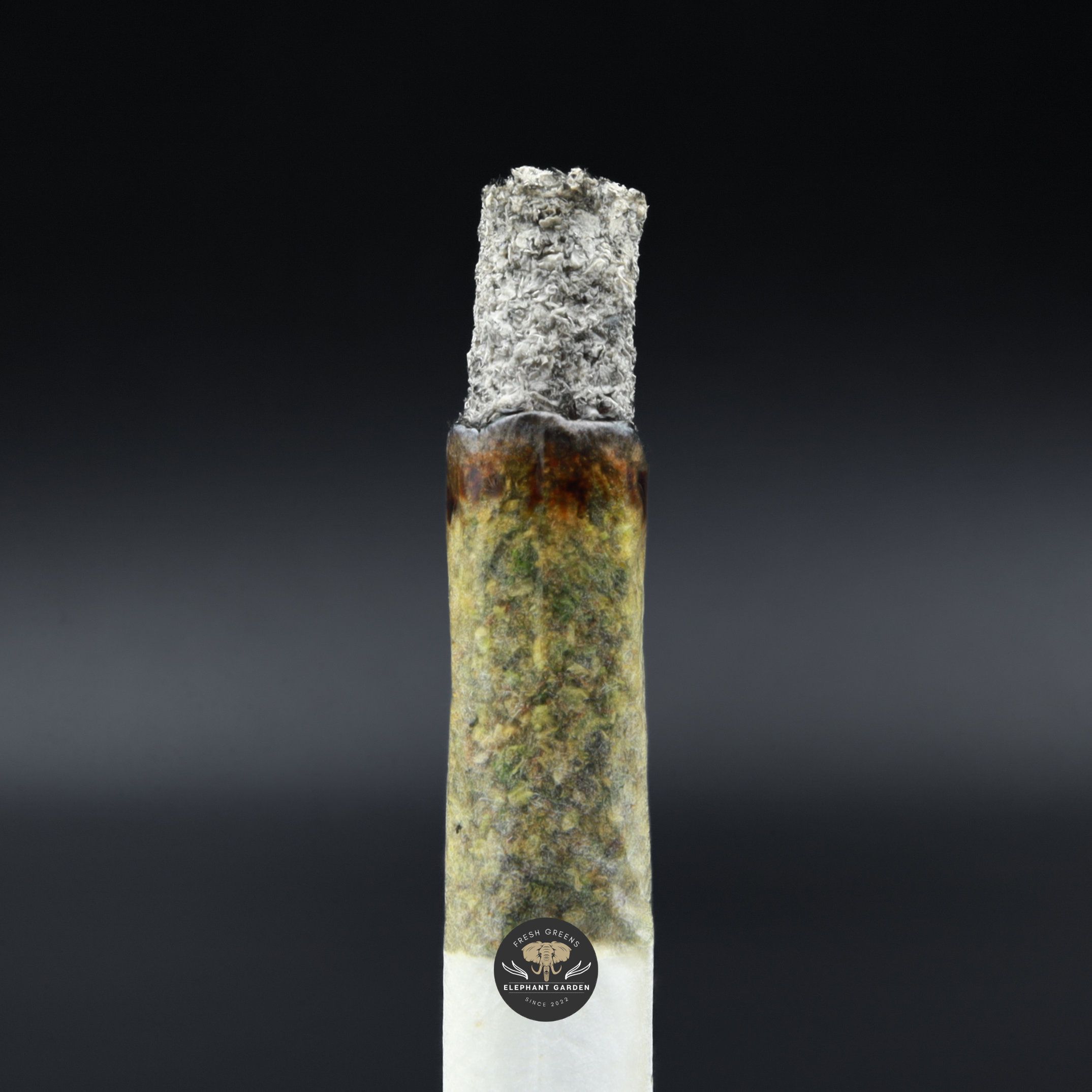 Burn Test Of Gastro Pop Popcorn Elephant Garden March 2026