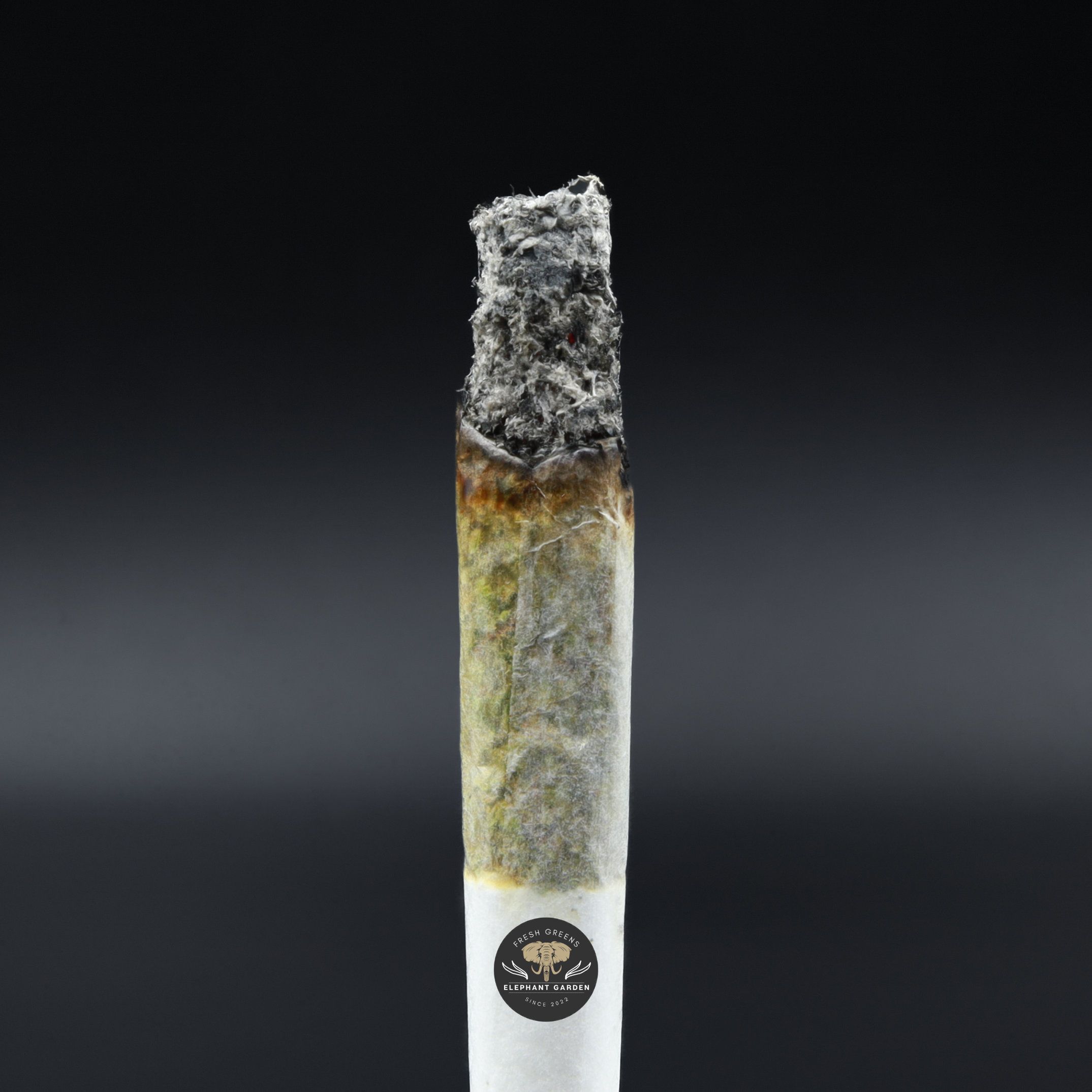Burn test Razzle Dazzle Popcorn Elephant Garden March 2026