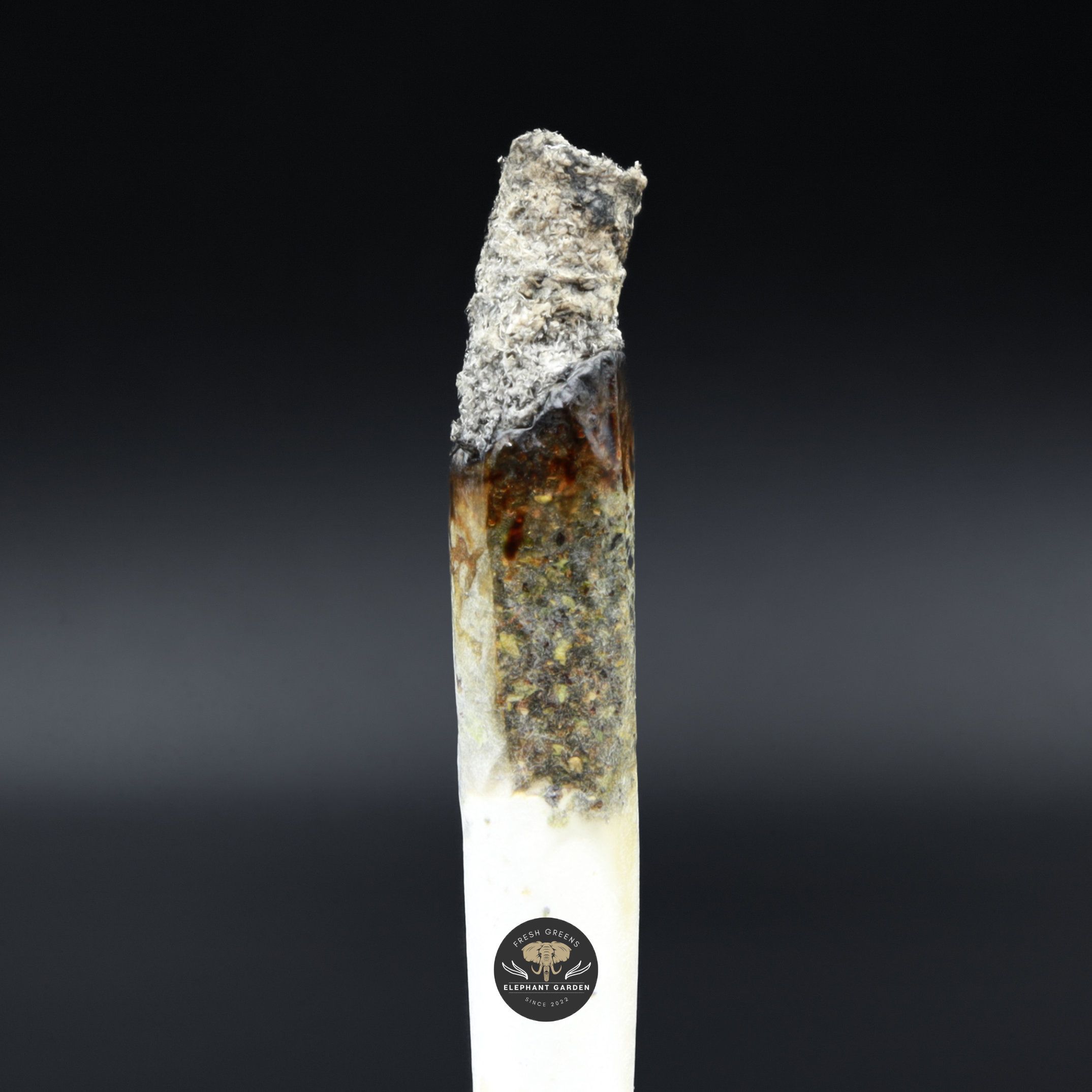 Burn test of Greasy Death Bubba Smalls Elephant Garden March 2026