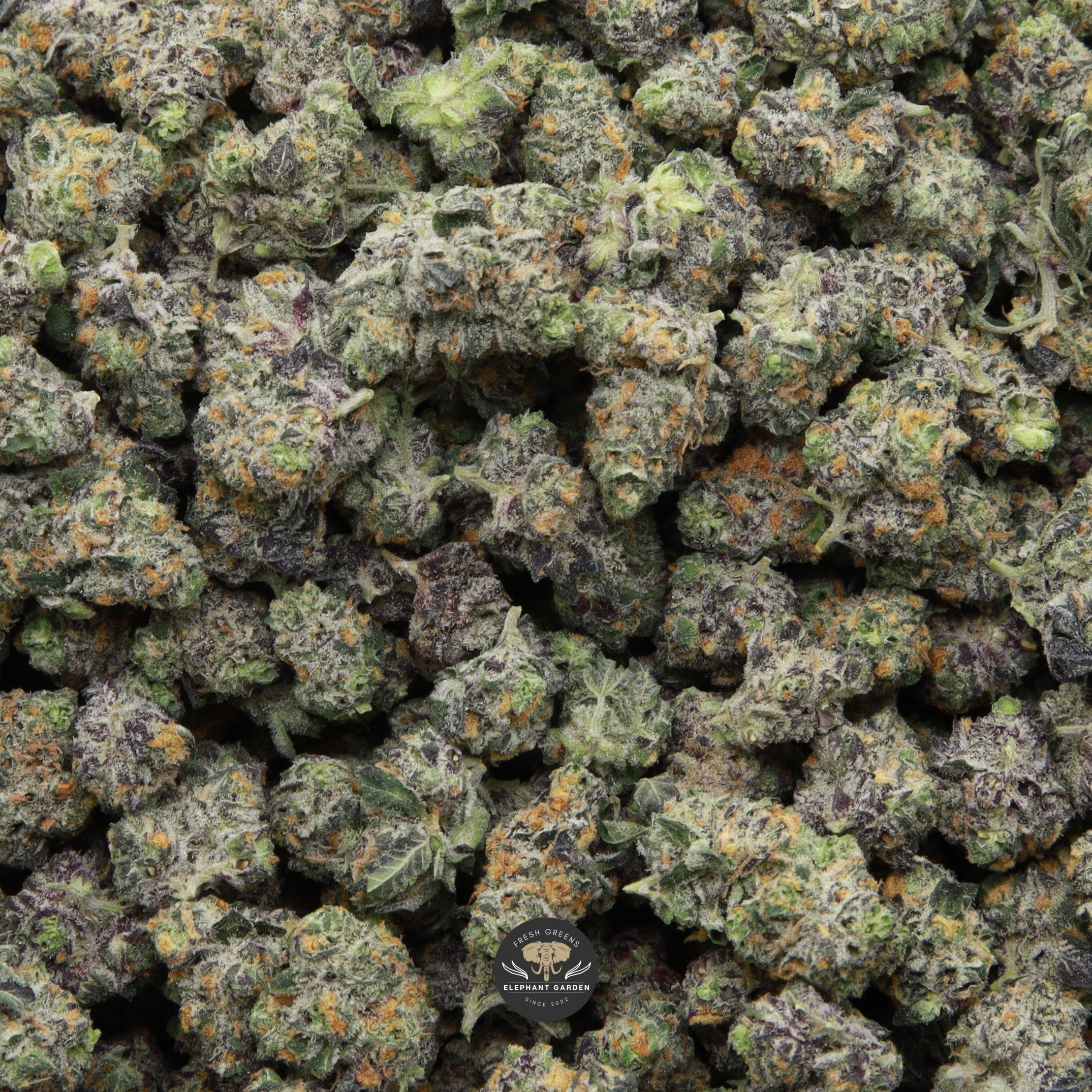 Hidden Pastry Smalls from Elephant Garden March 2026