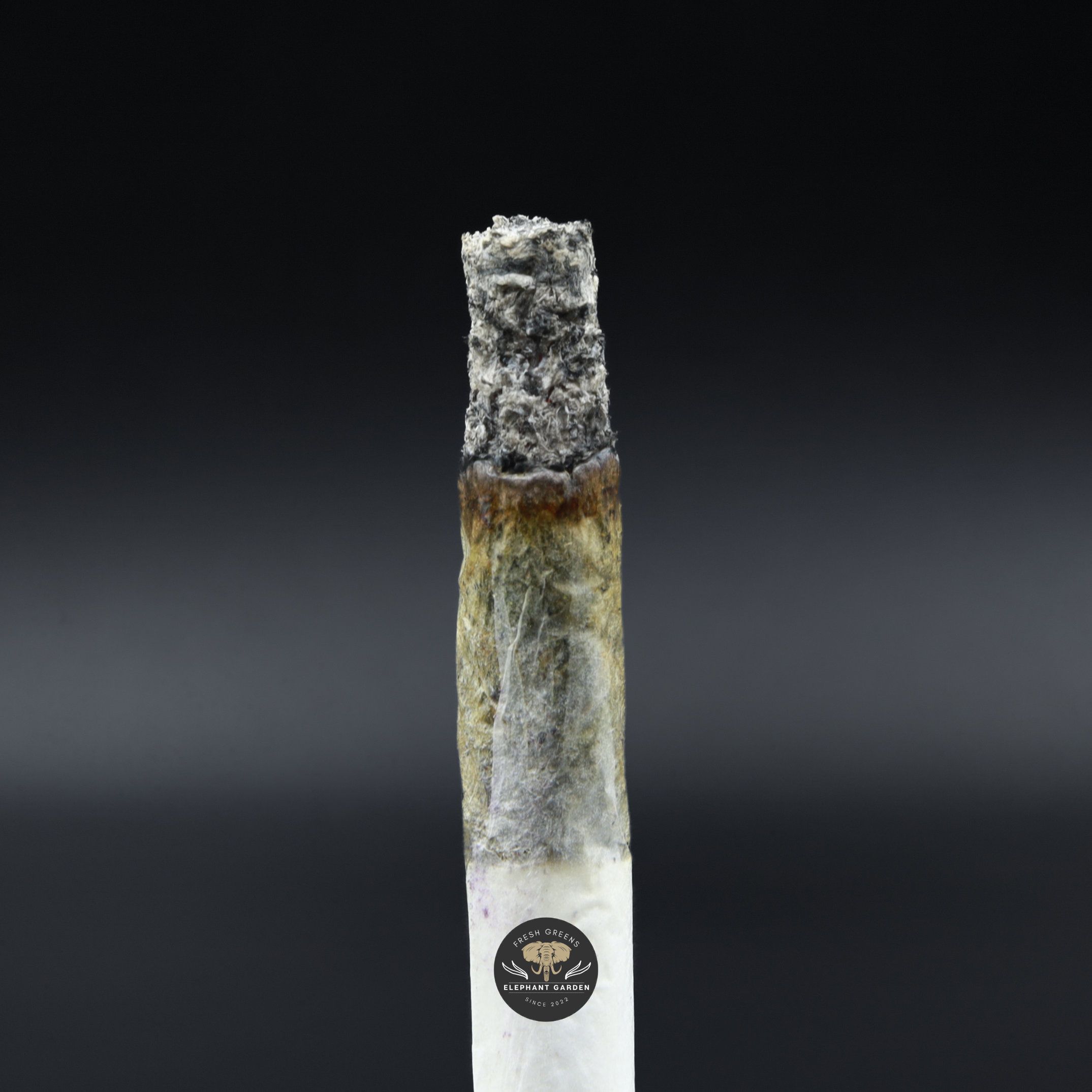 White Truffle Smalls Burn Test Elephant Garden March 2026