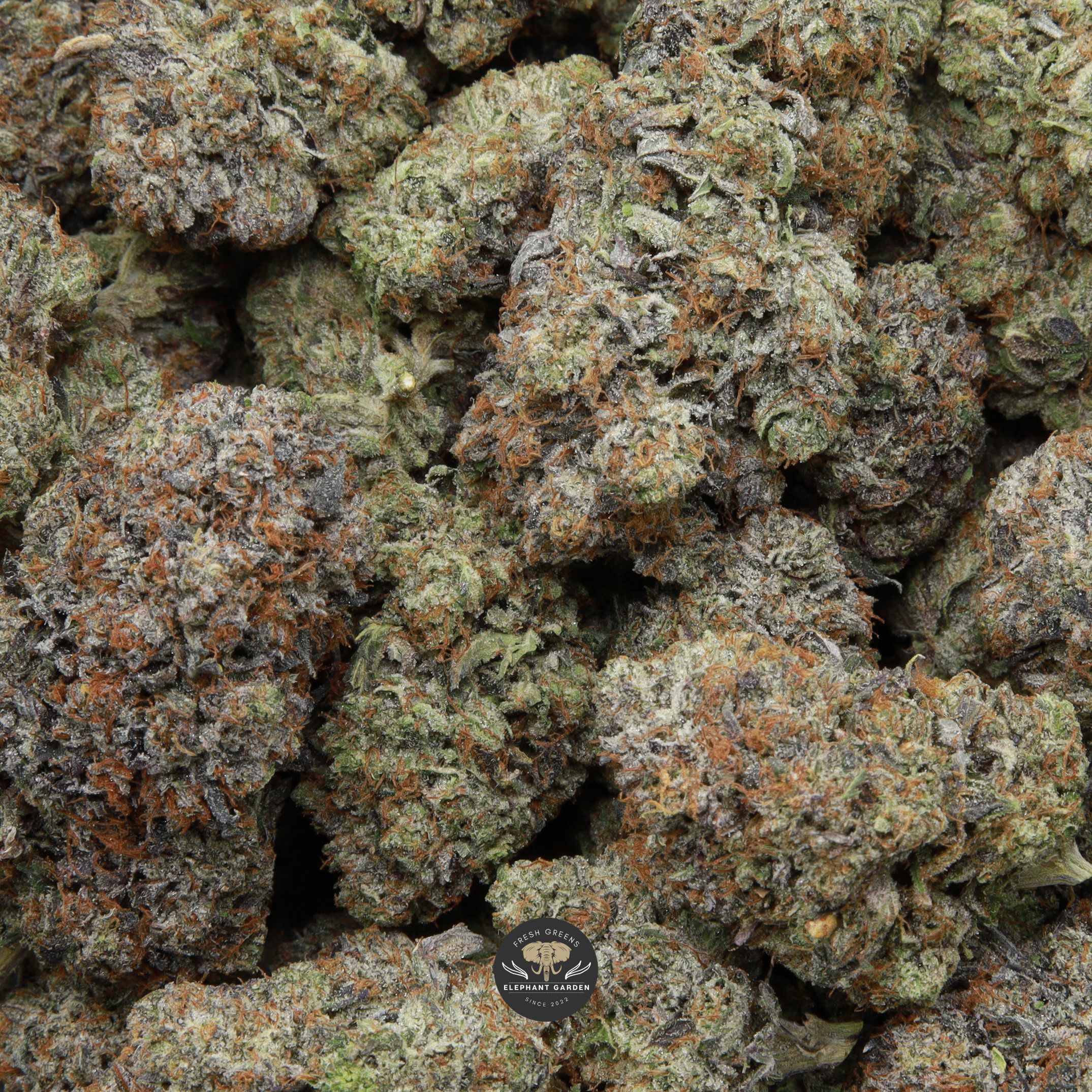 All Gas OG Bag elephant Garden april 2026