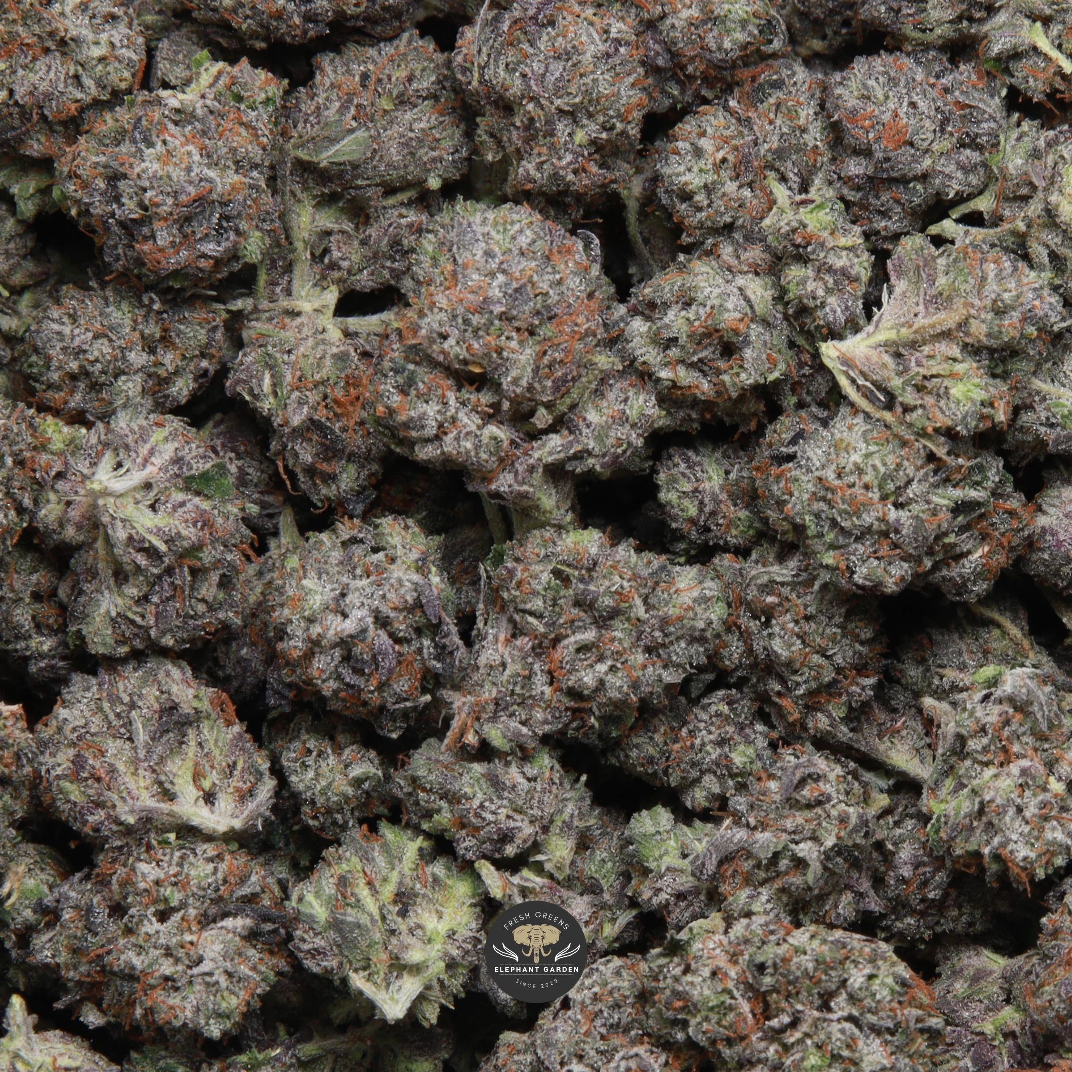 Cali Octane Popcorn indica popcorn flower — close-up of frosty gassy popcorn buds